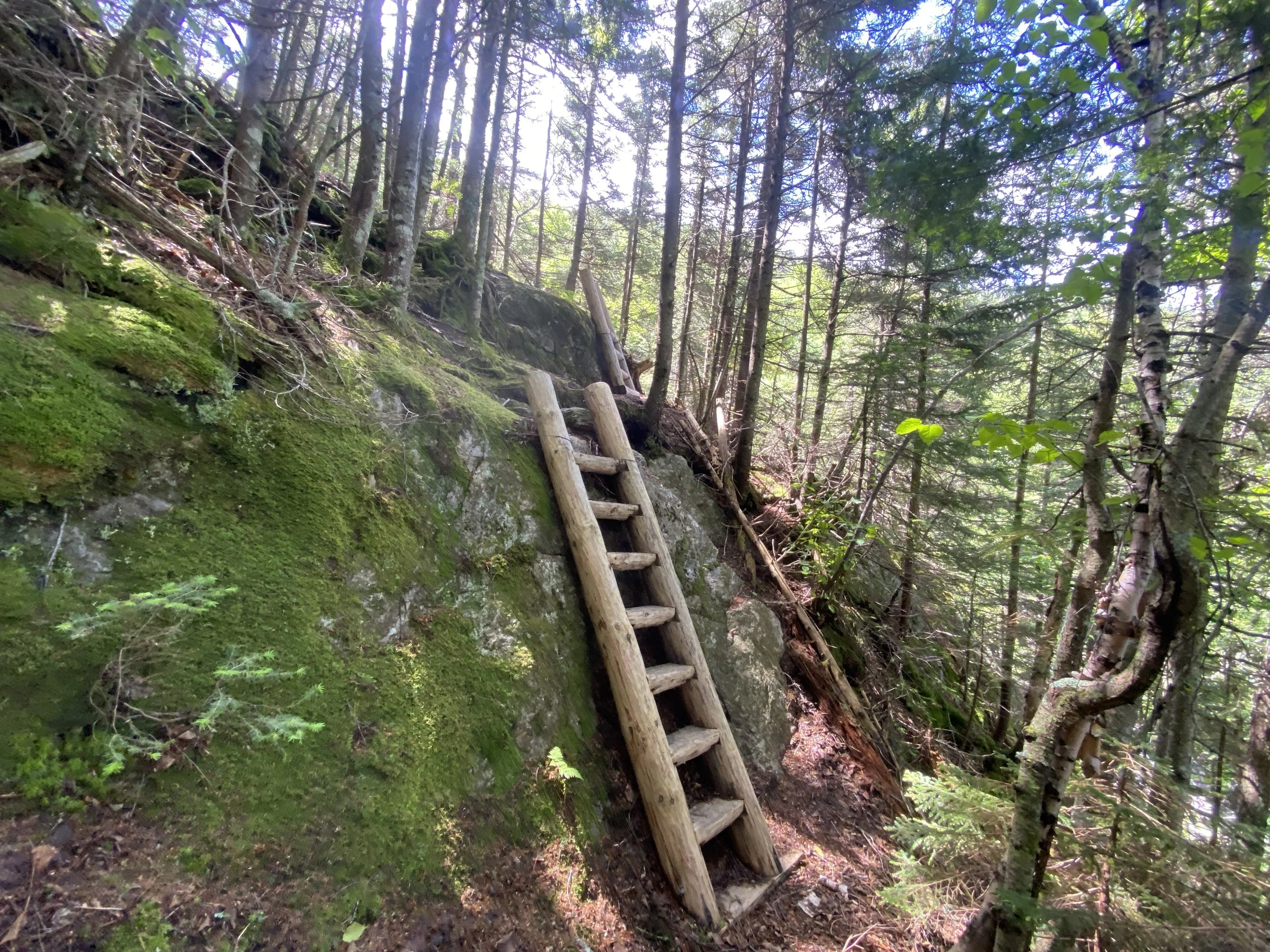 White Mountain Guide Day Eight