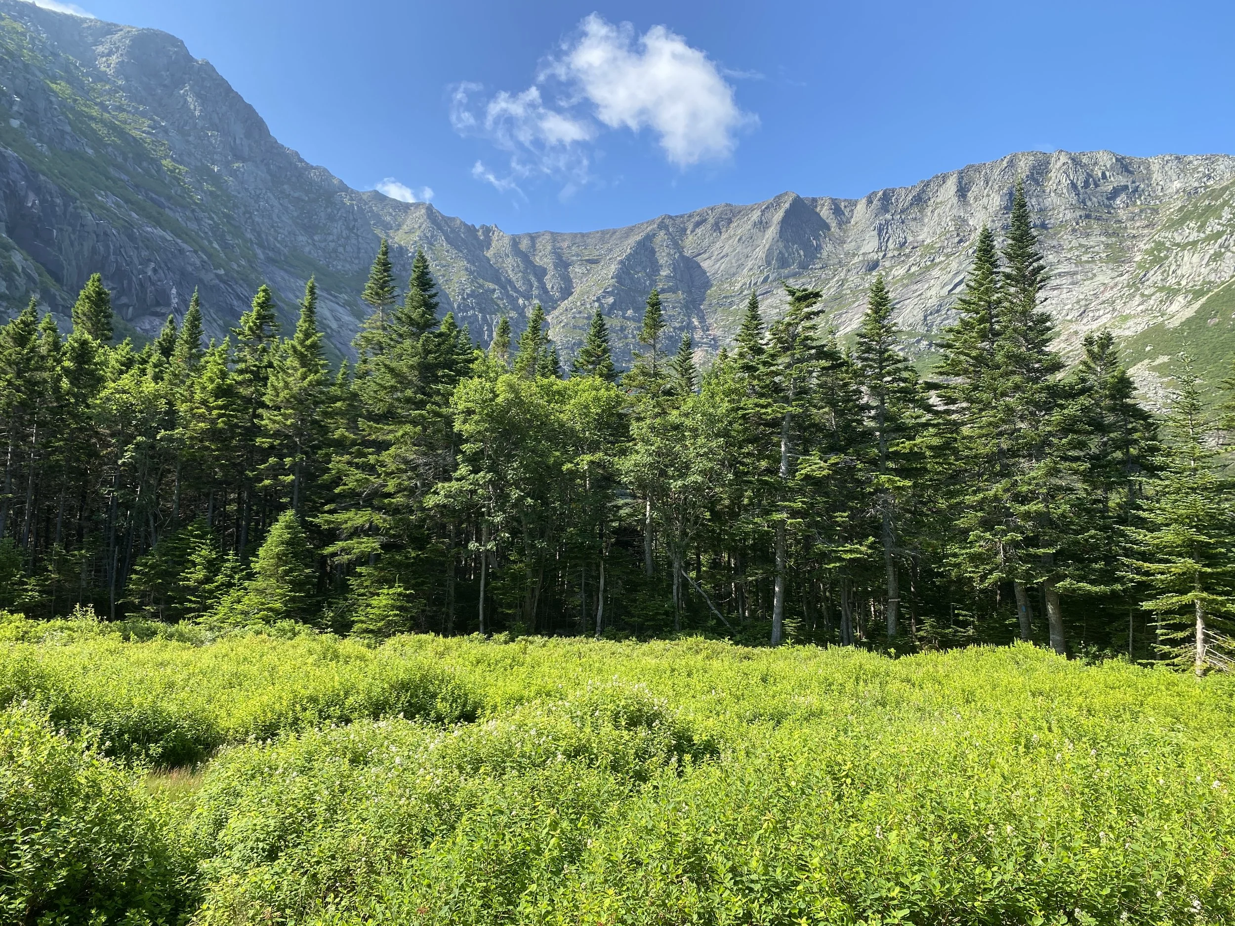 New England 100 Highest Peaks Baxter & Hamlin