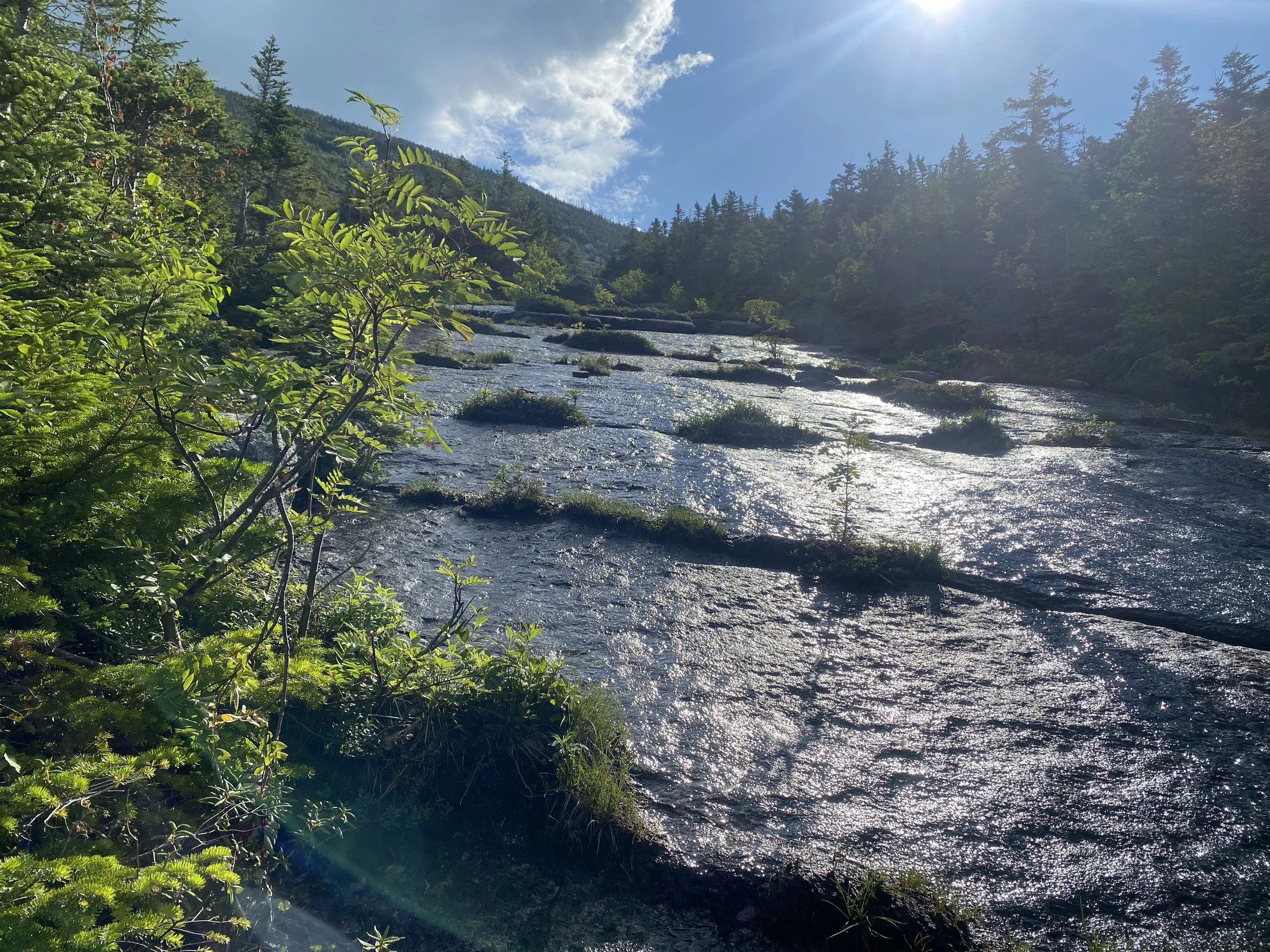 New England 100 Highest Peaks Coe & South Brother