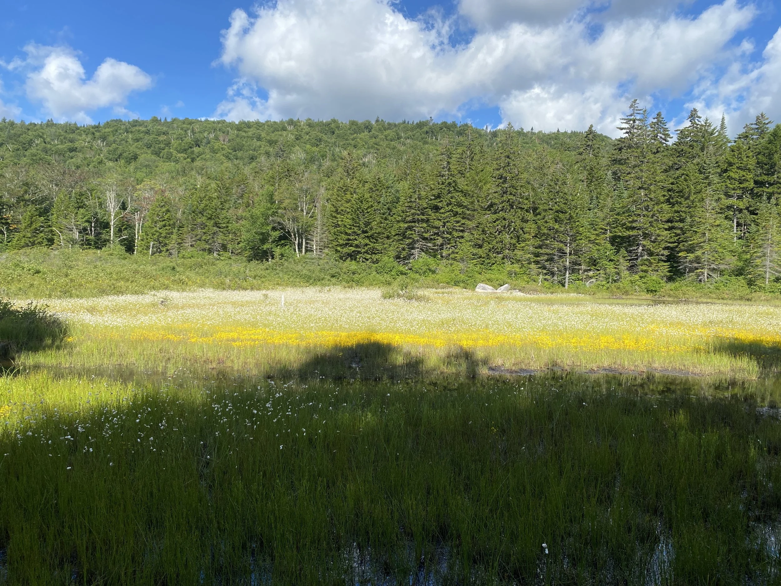 White Mountain Guide Day Twenty-One