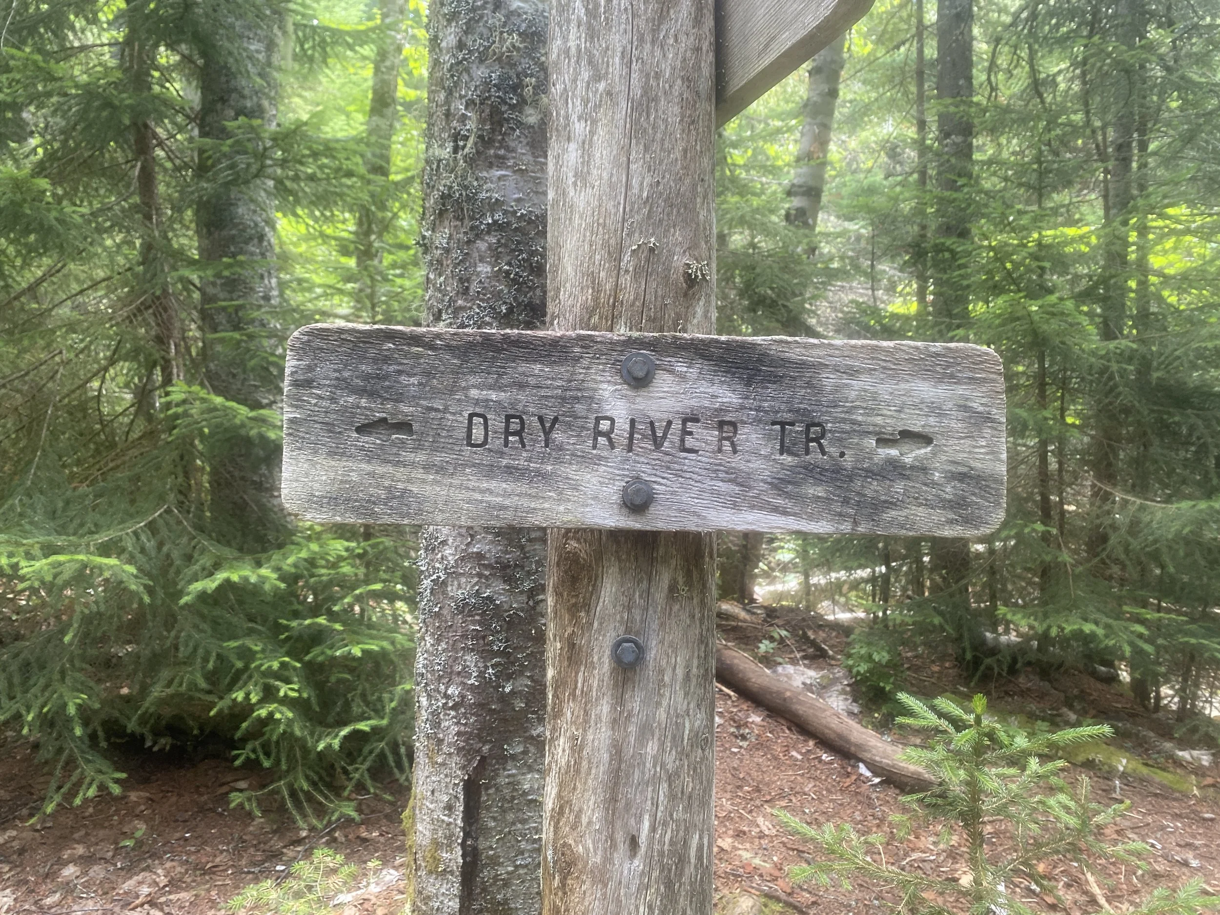 White Mountain Guide Day Twenty-Two