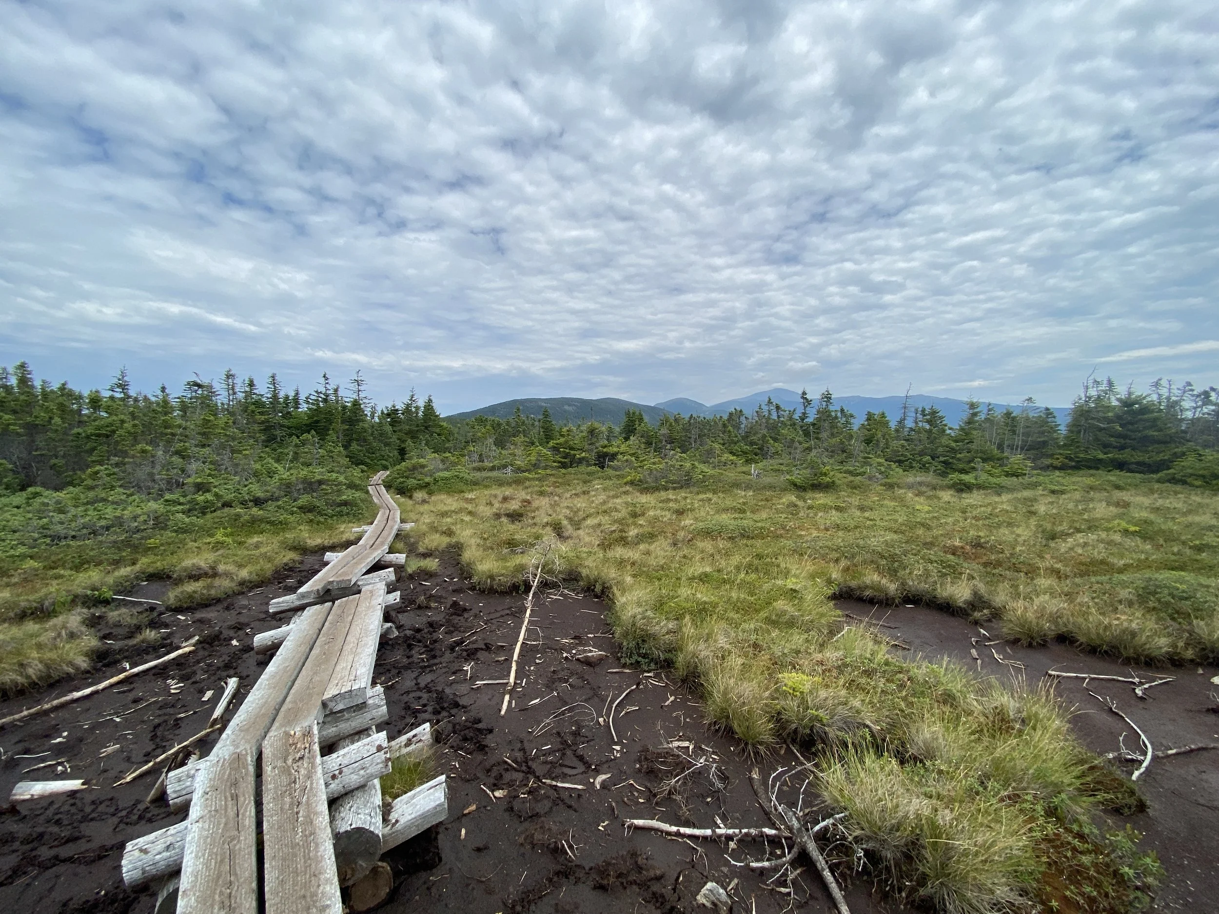 White Mountain Guide Day Twenty-Three