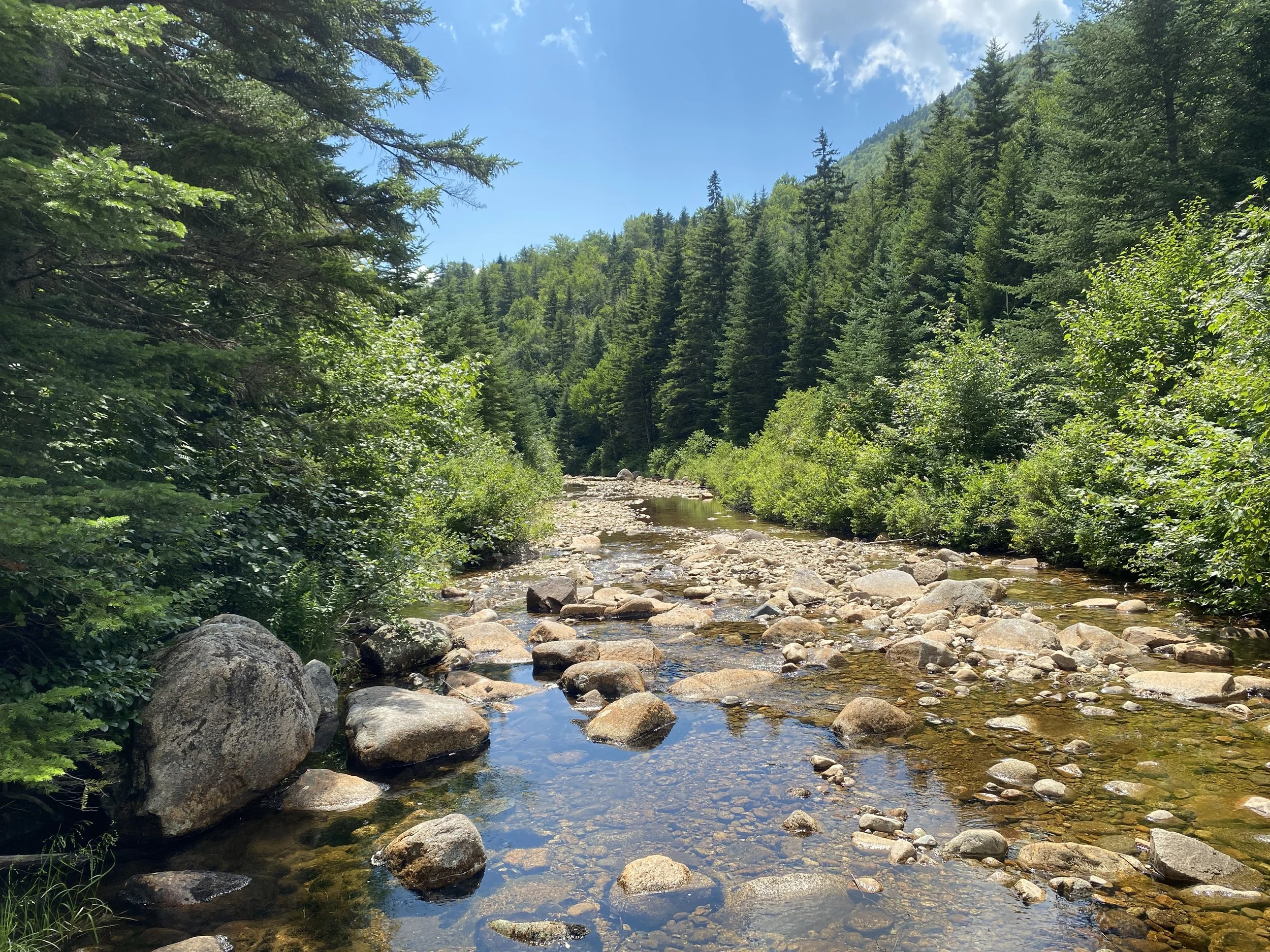 White Mountain Guide Day Twenty-Four