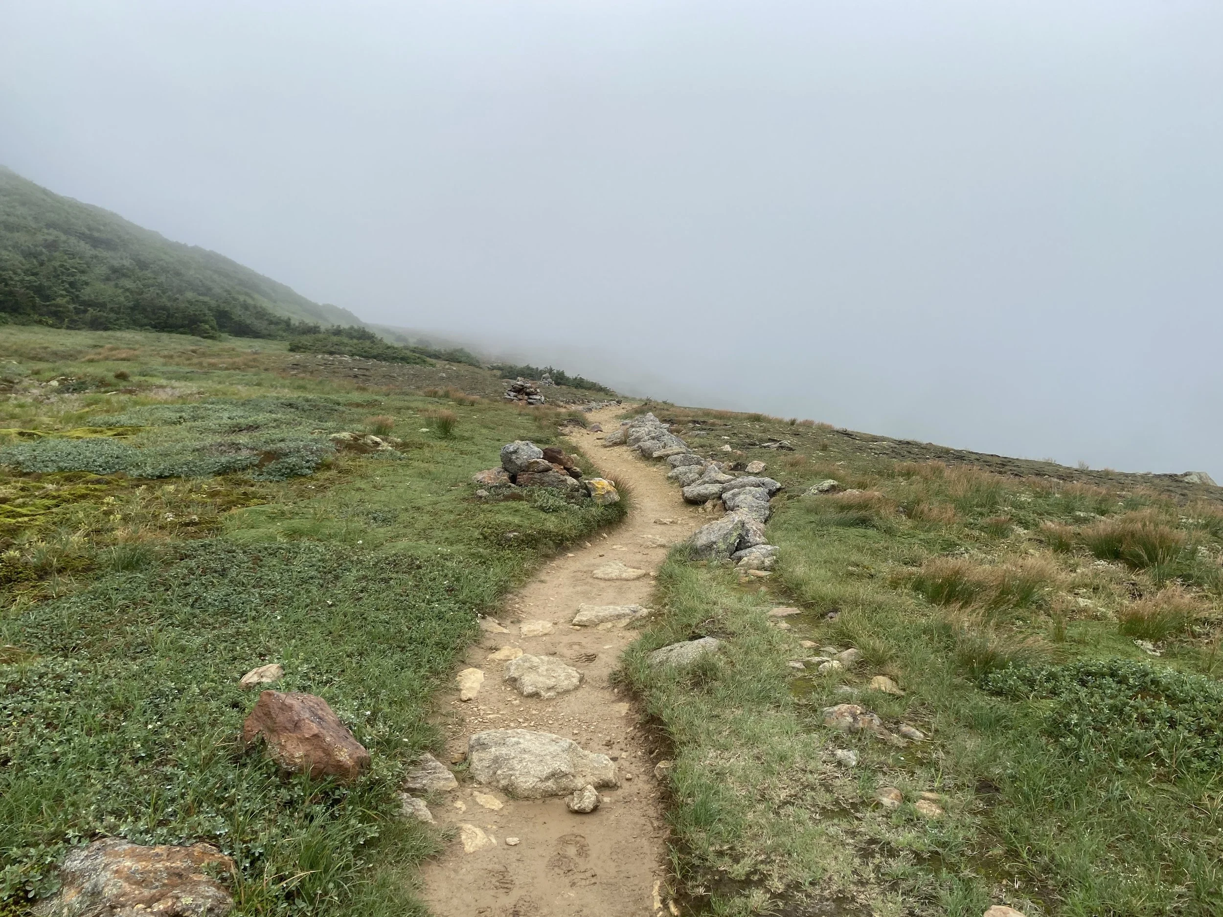 White Mountain Guide Day Twenty-Six