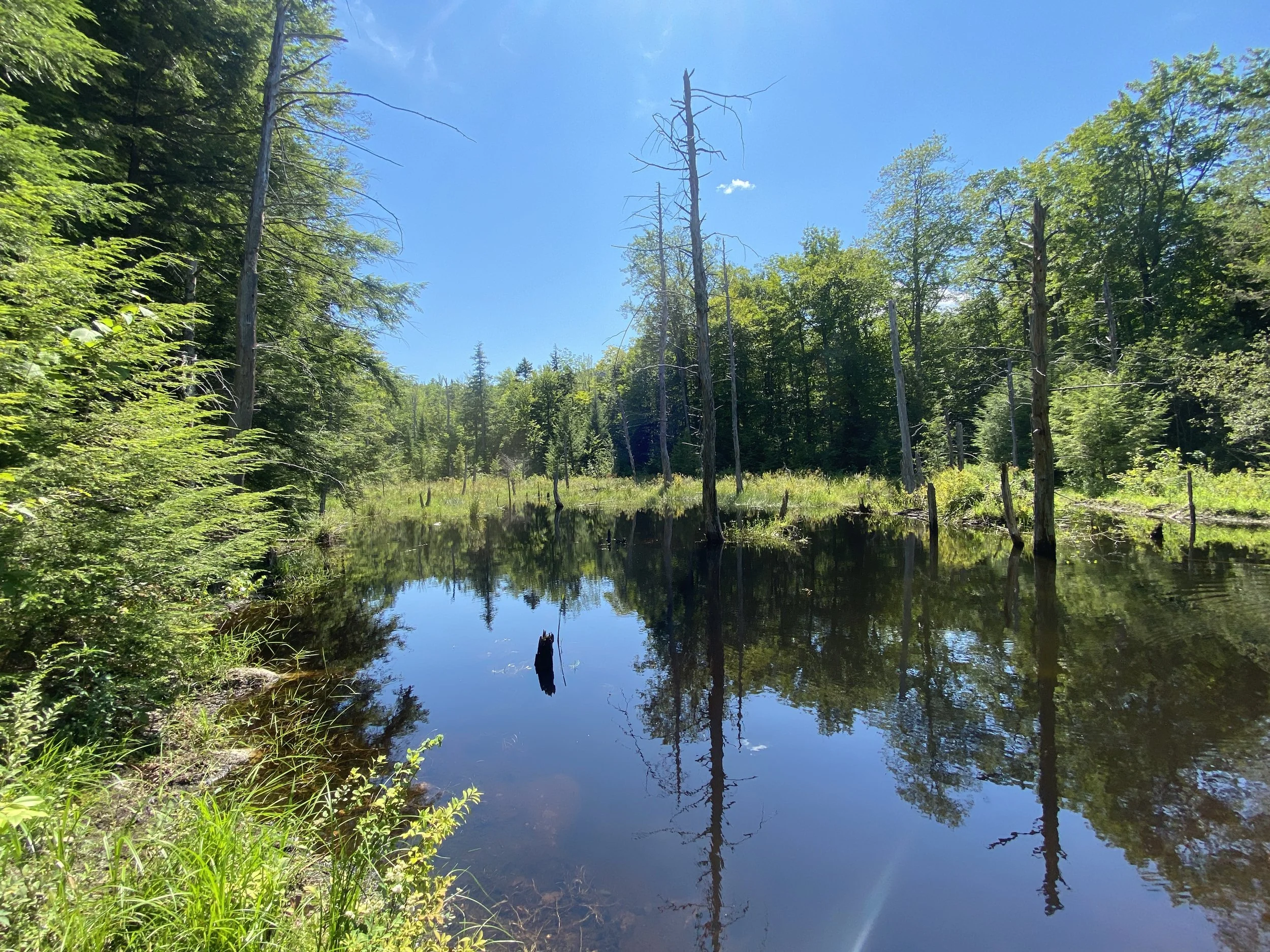 White Mountain Guide Day Thirty-One