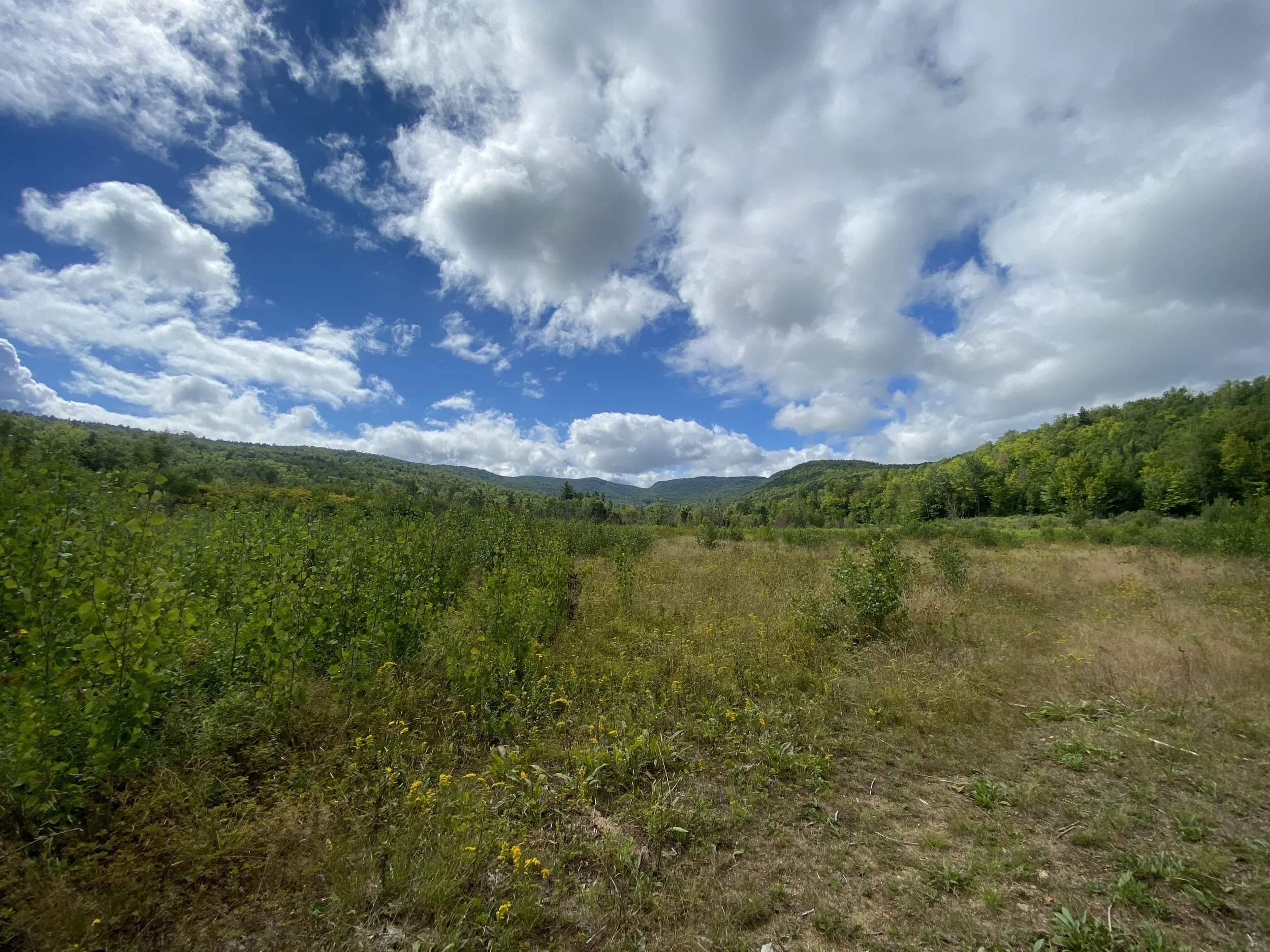 White Mountain Guide Day Thirty-Three