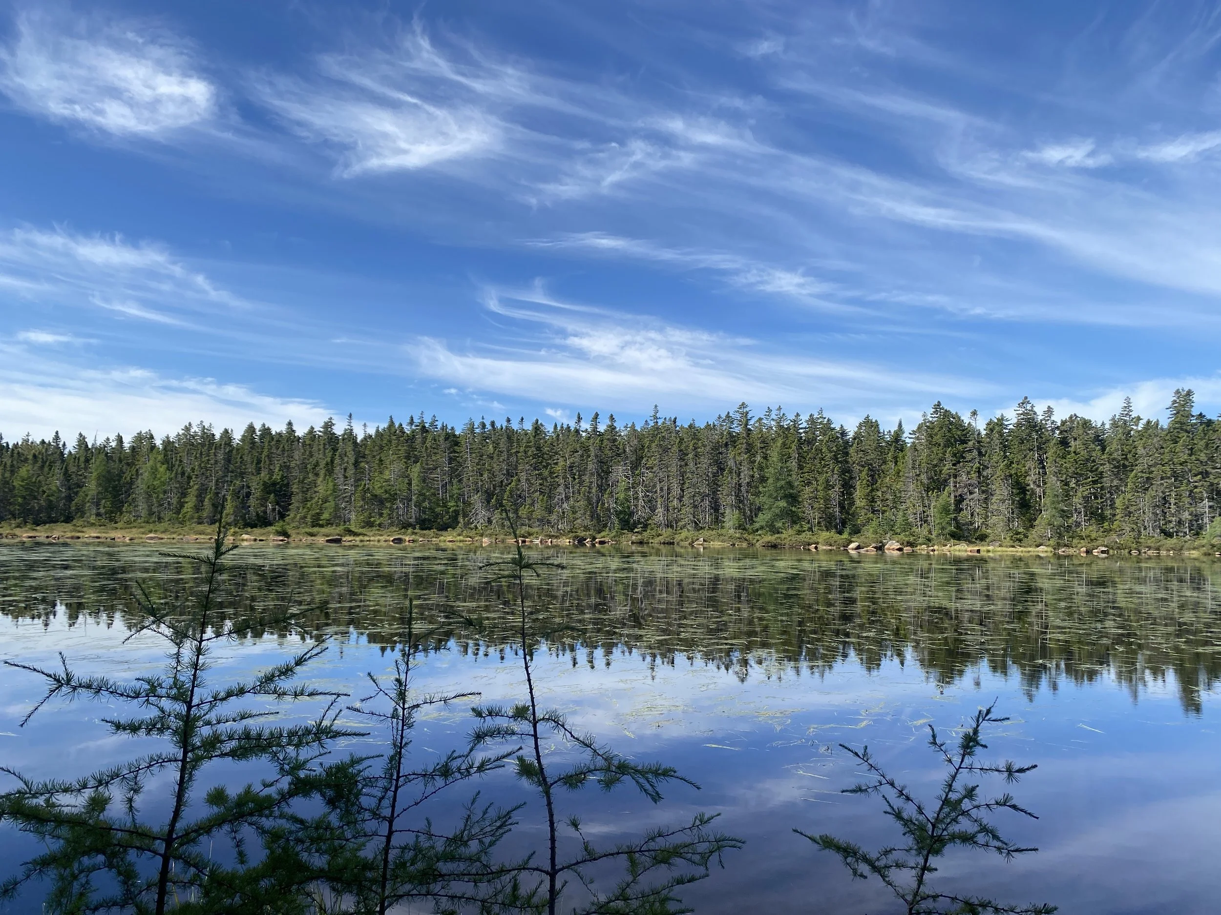 White Mountain Guide Day Thirty-Seven