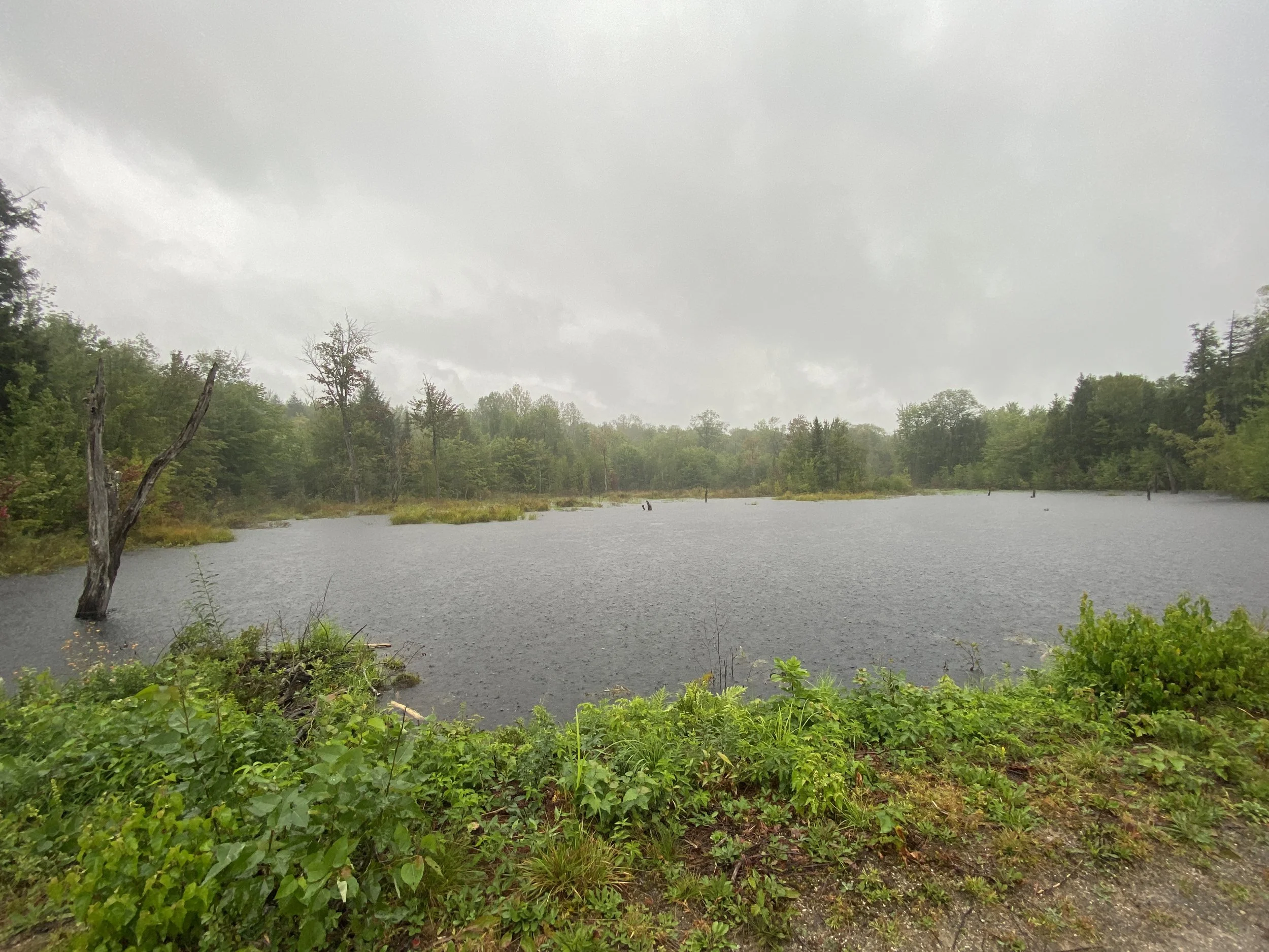 White Mountain Guide Day Thirty-Eight