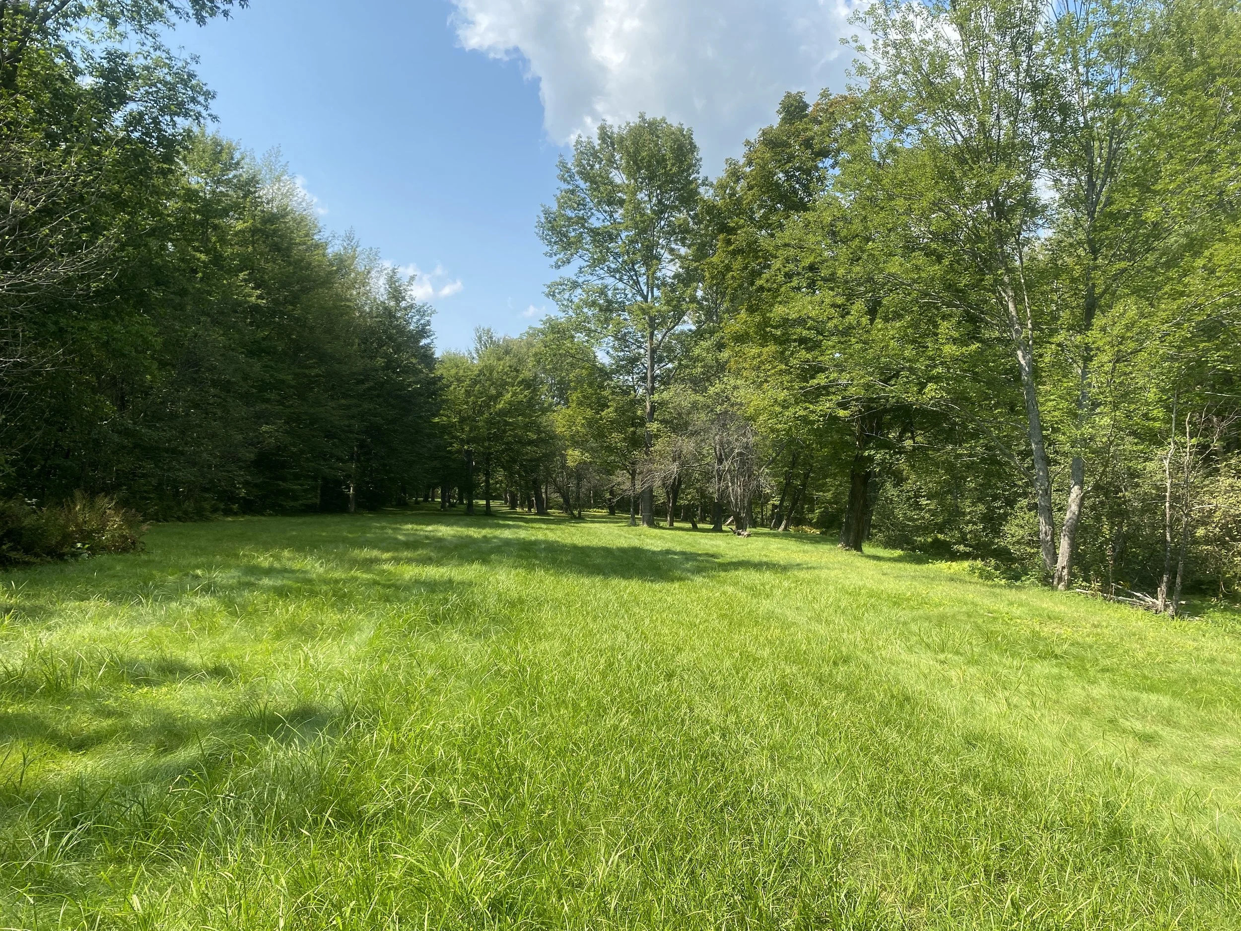 White Mountain Guide Day Forty