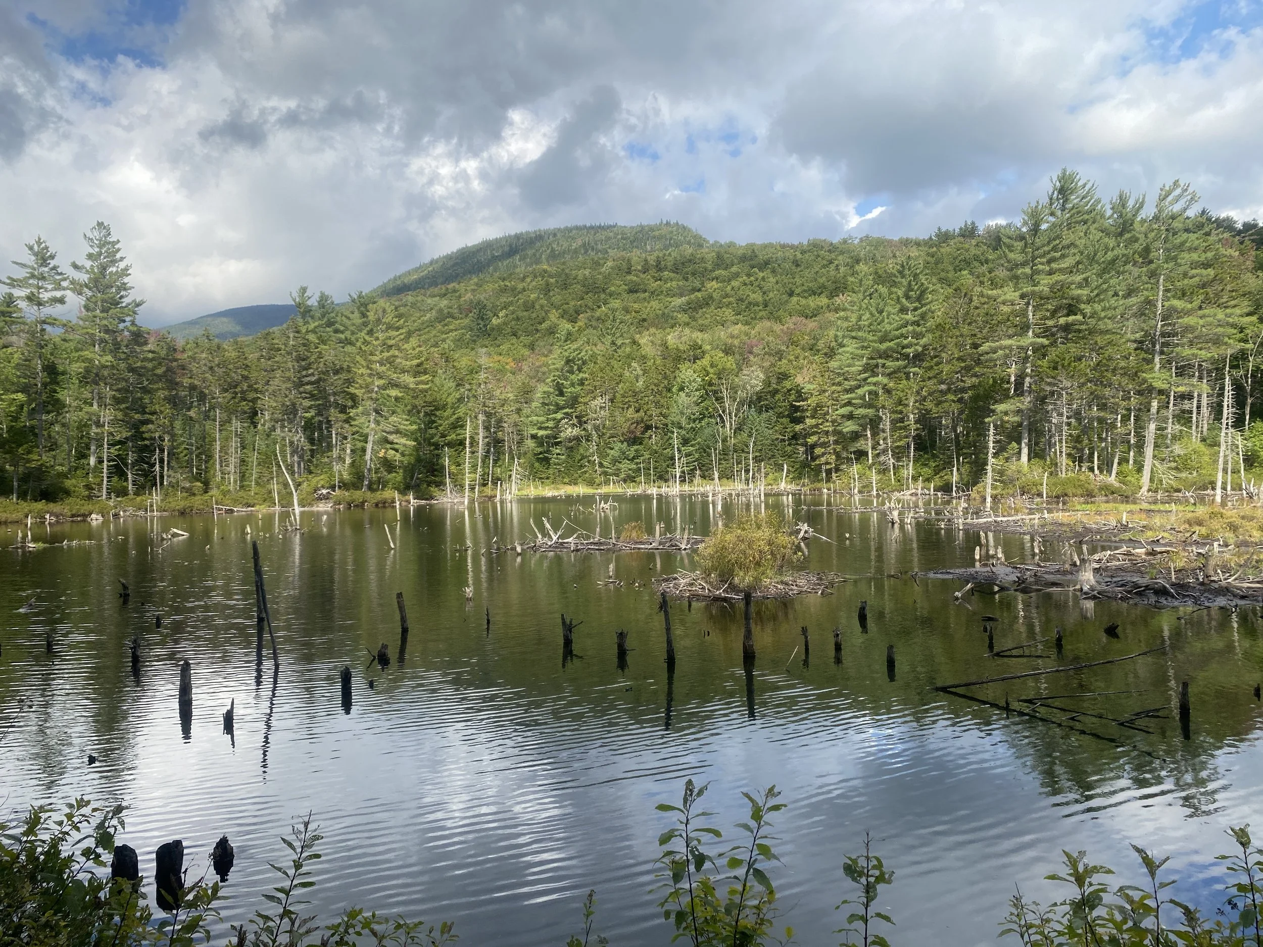 White Mountain Guide Day Forty-two