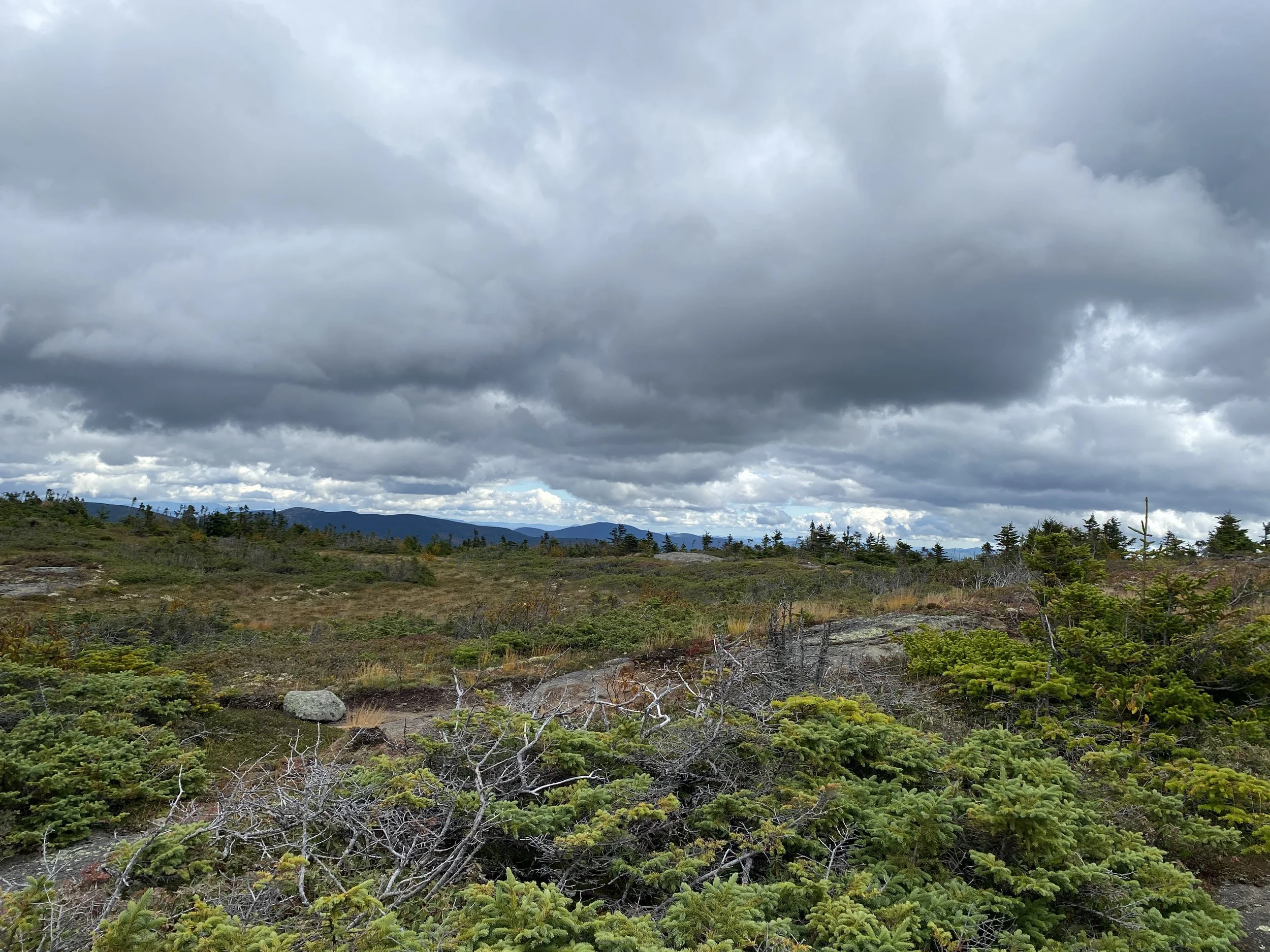 White Mountain Guide Day 46