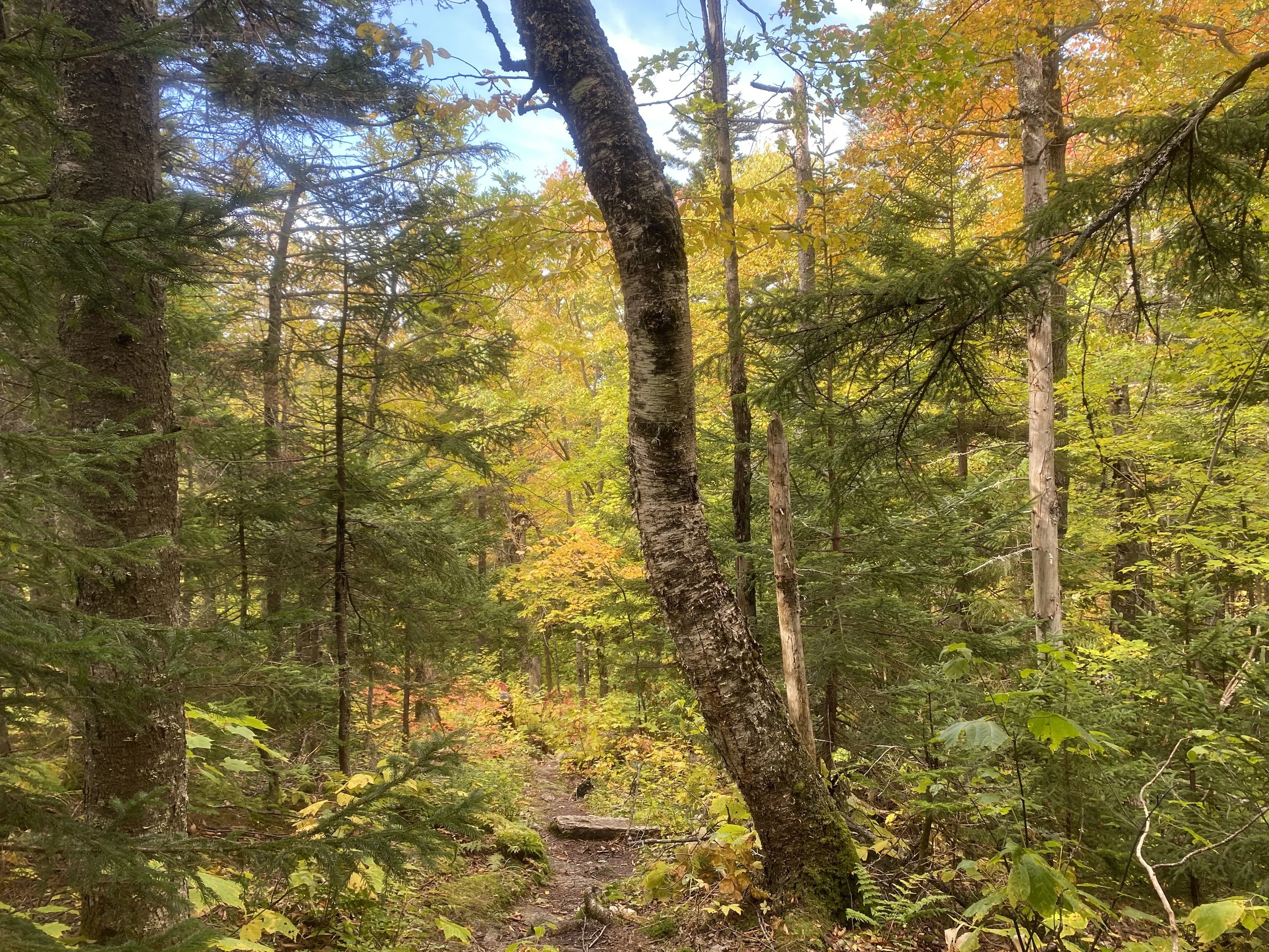 White Mountain Guide Day 48