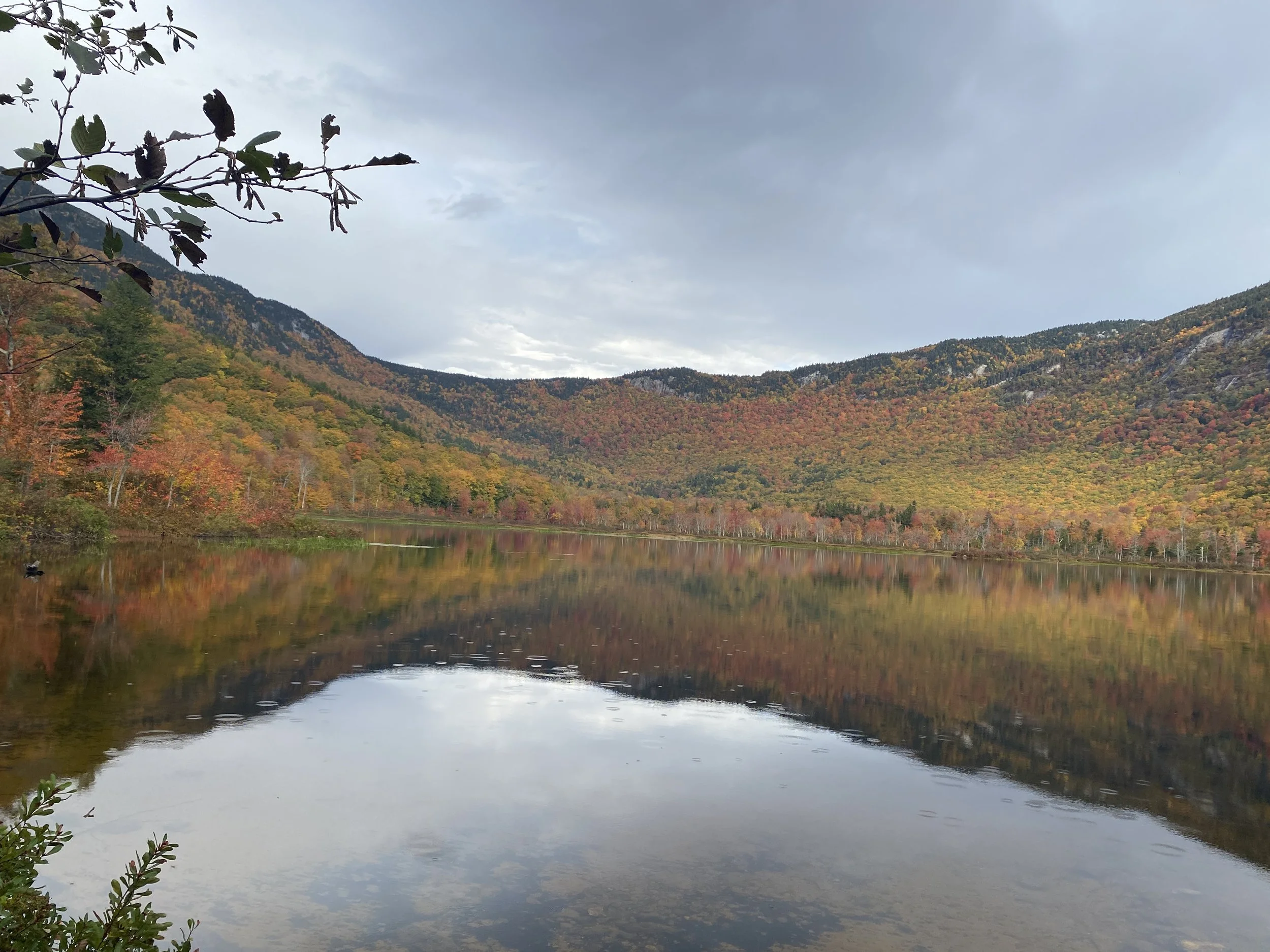 White Mountain Guide Day 51