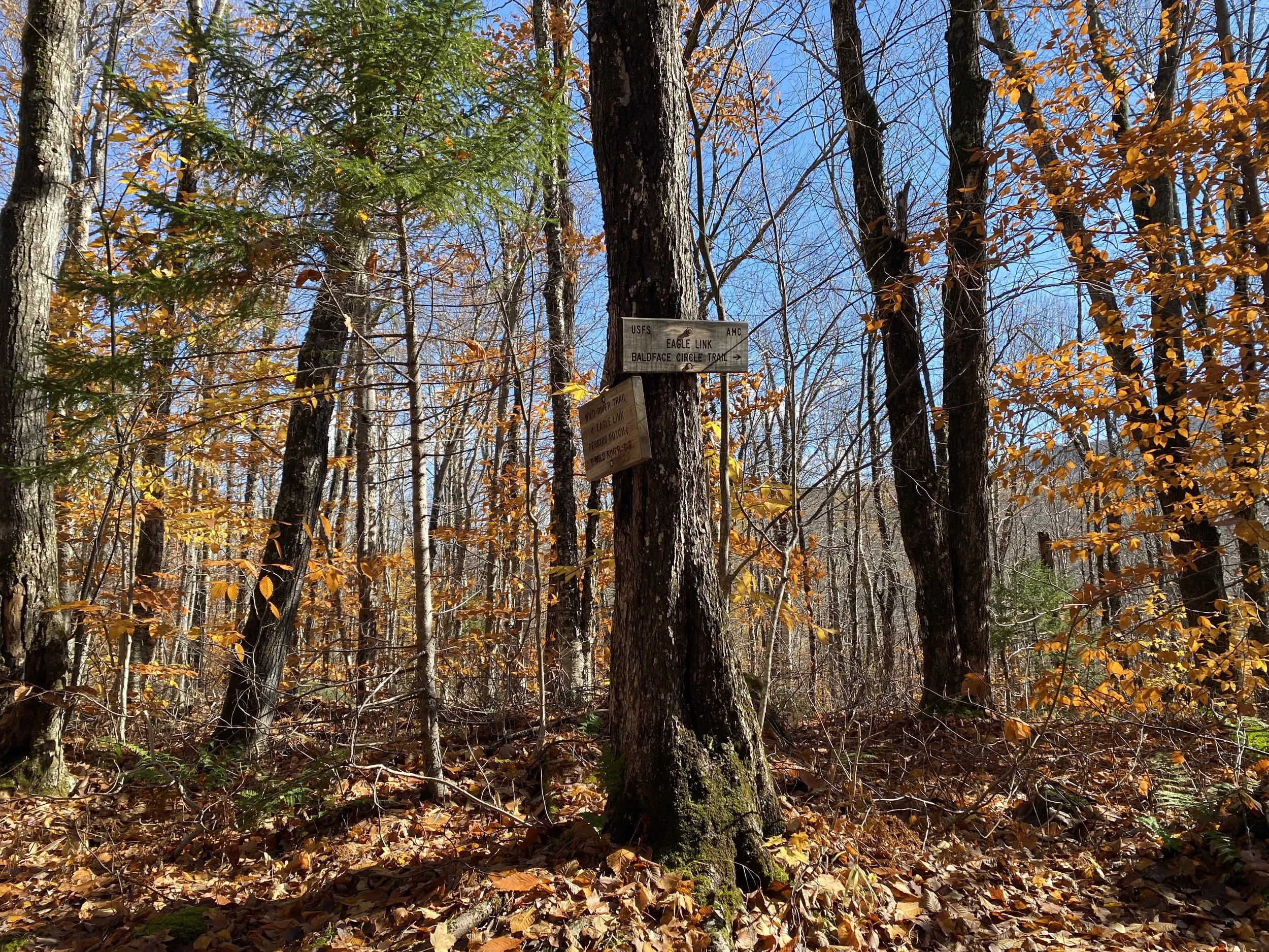 White Mountain Guide Day 56