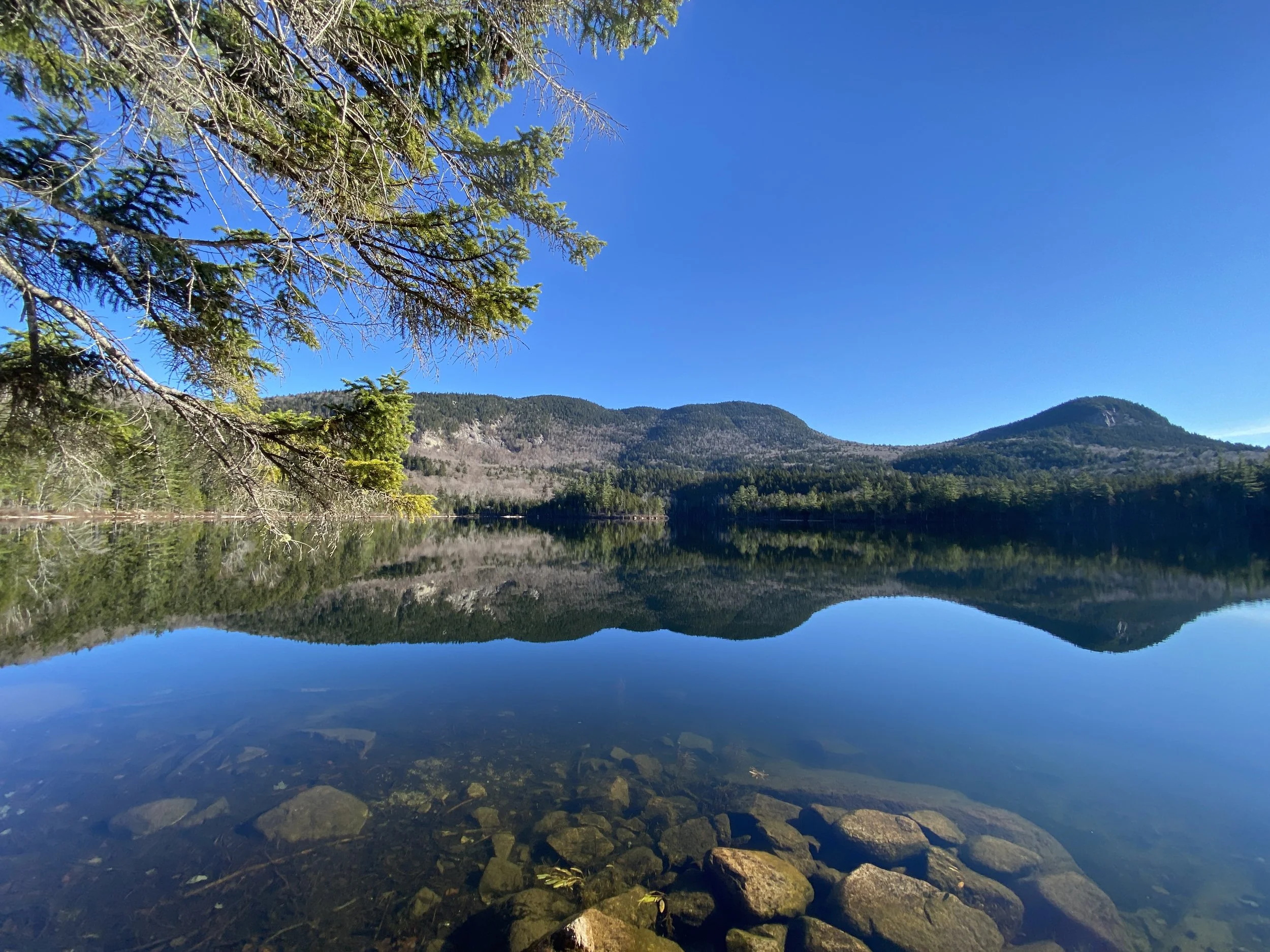 White Mountain Guide Day 66