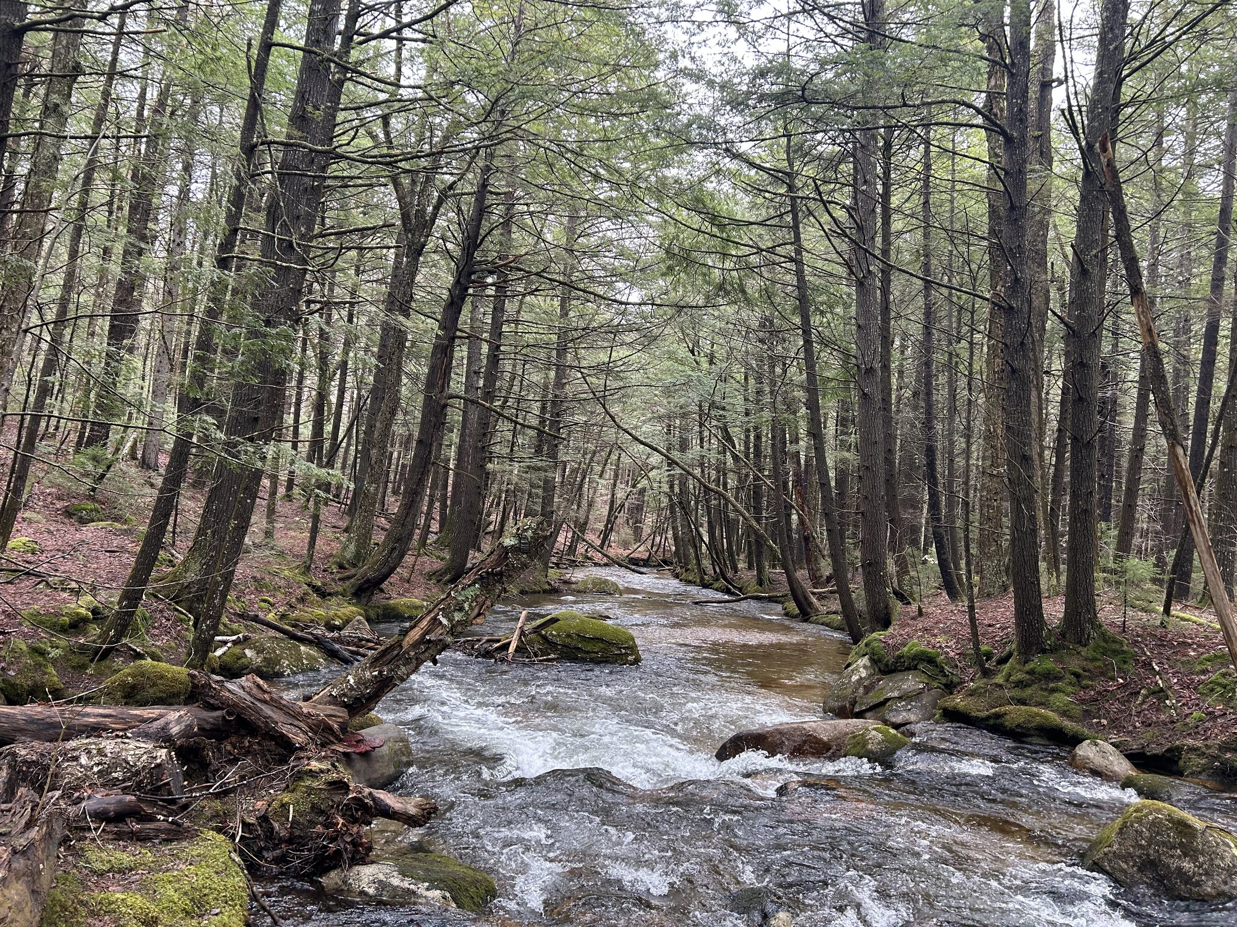 White Mountain Guide Day 121