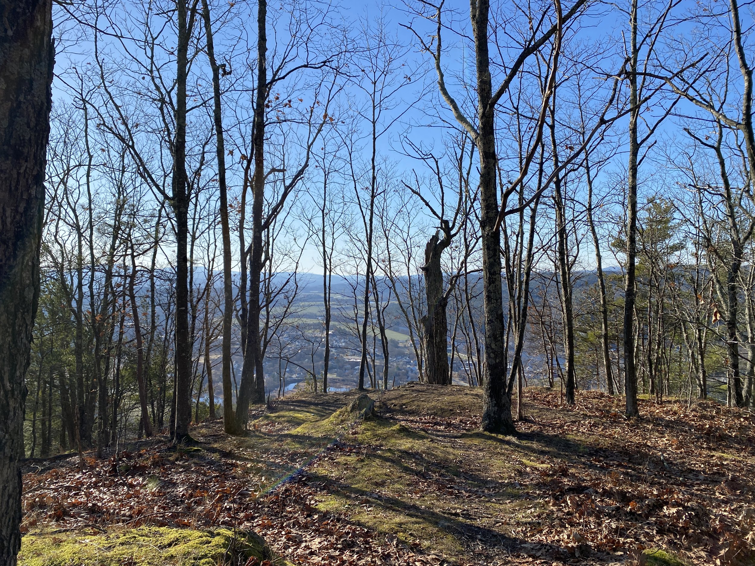 White Mountain Guide Day 75