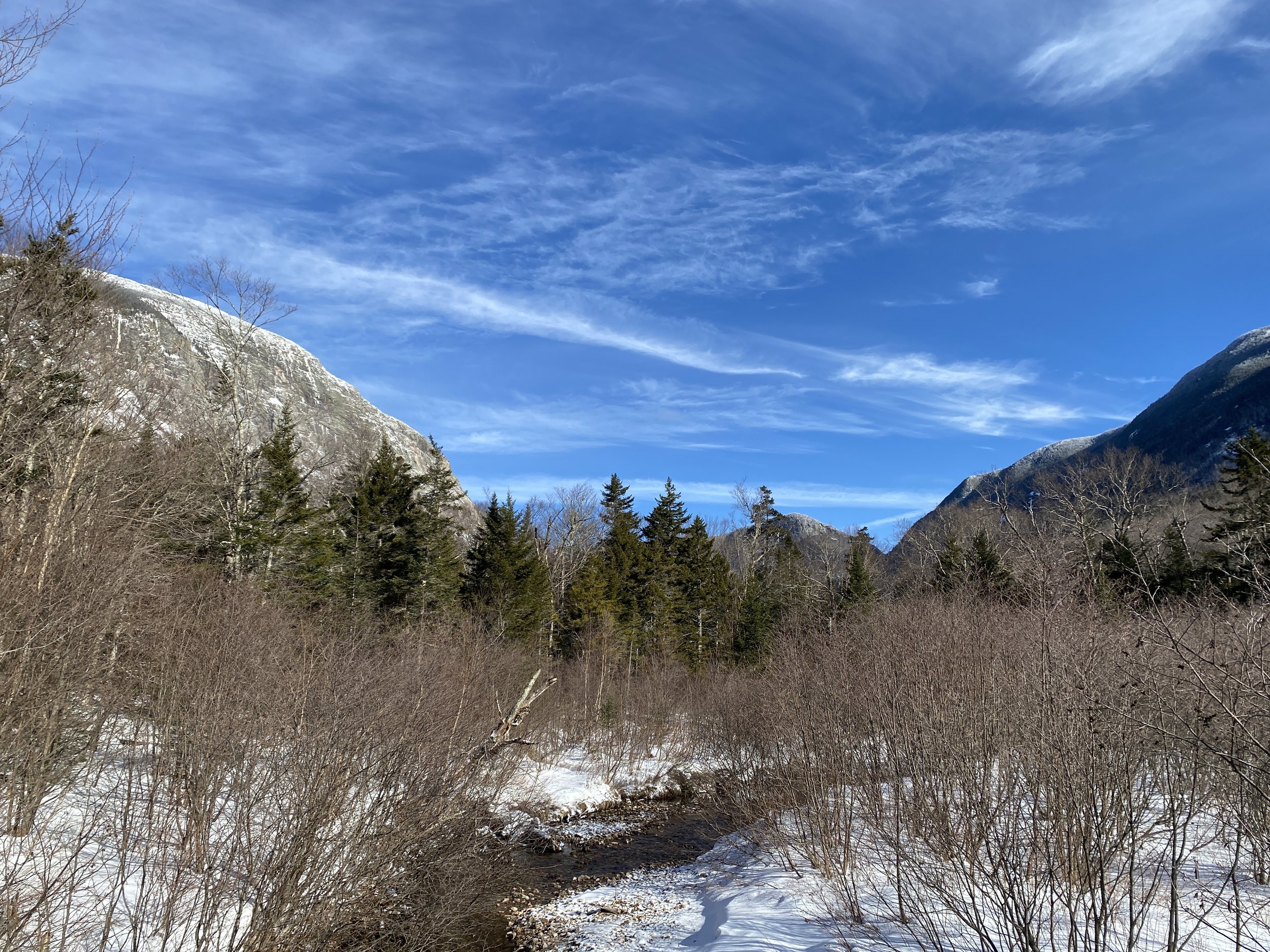 White Mountain Guide Day 105