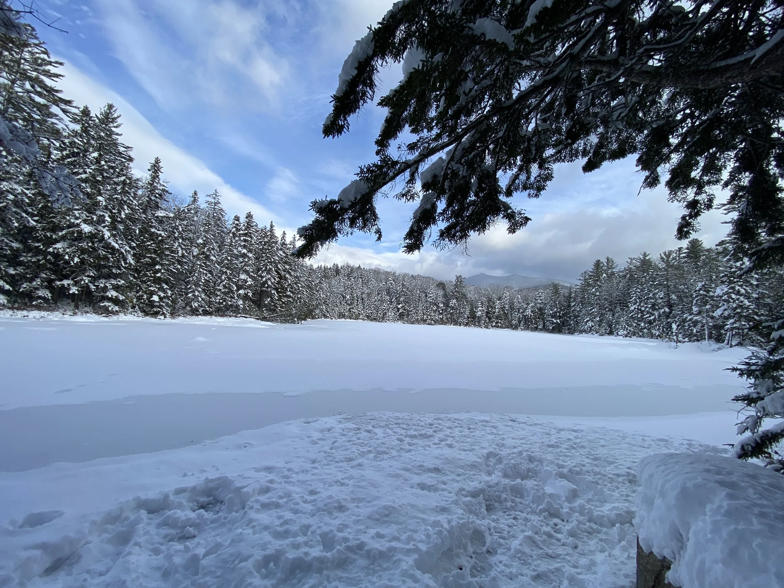 White Mountain Guide Day 80