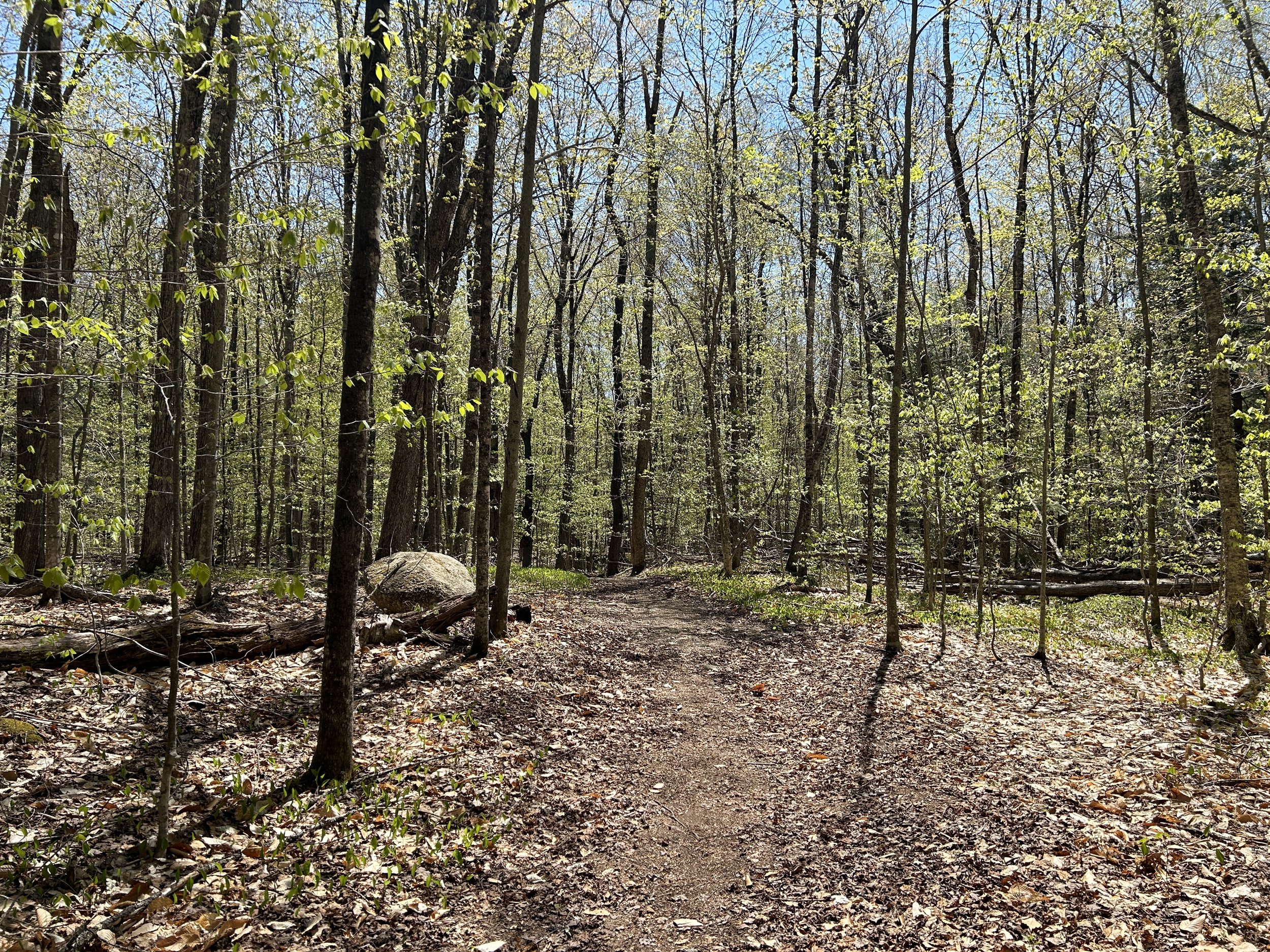 White Mountain Guide Day 125