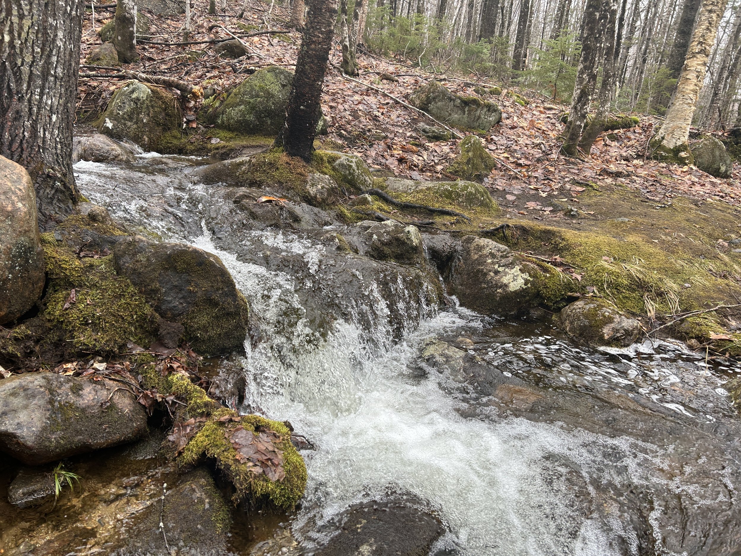 White Mountain Guide Day 120