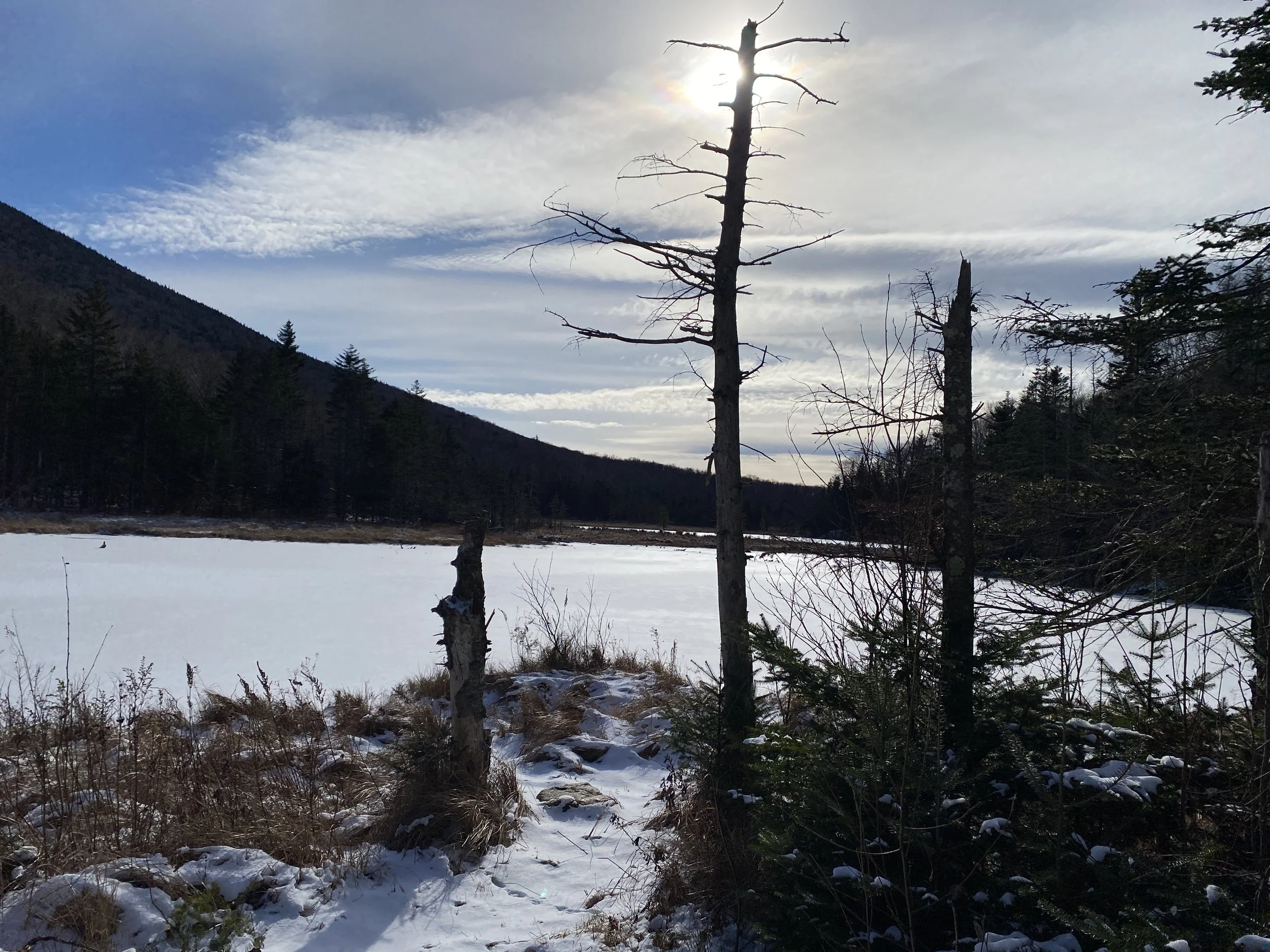 White Mountain Guide Day 71