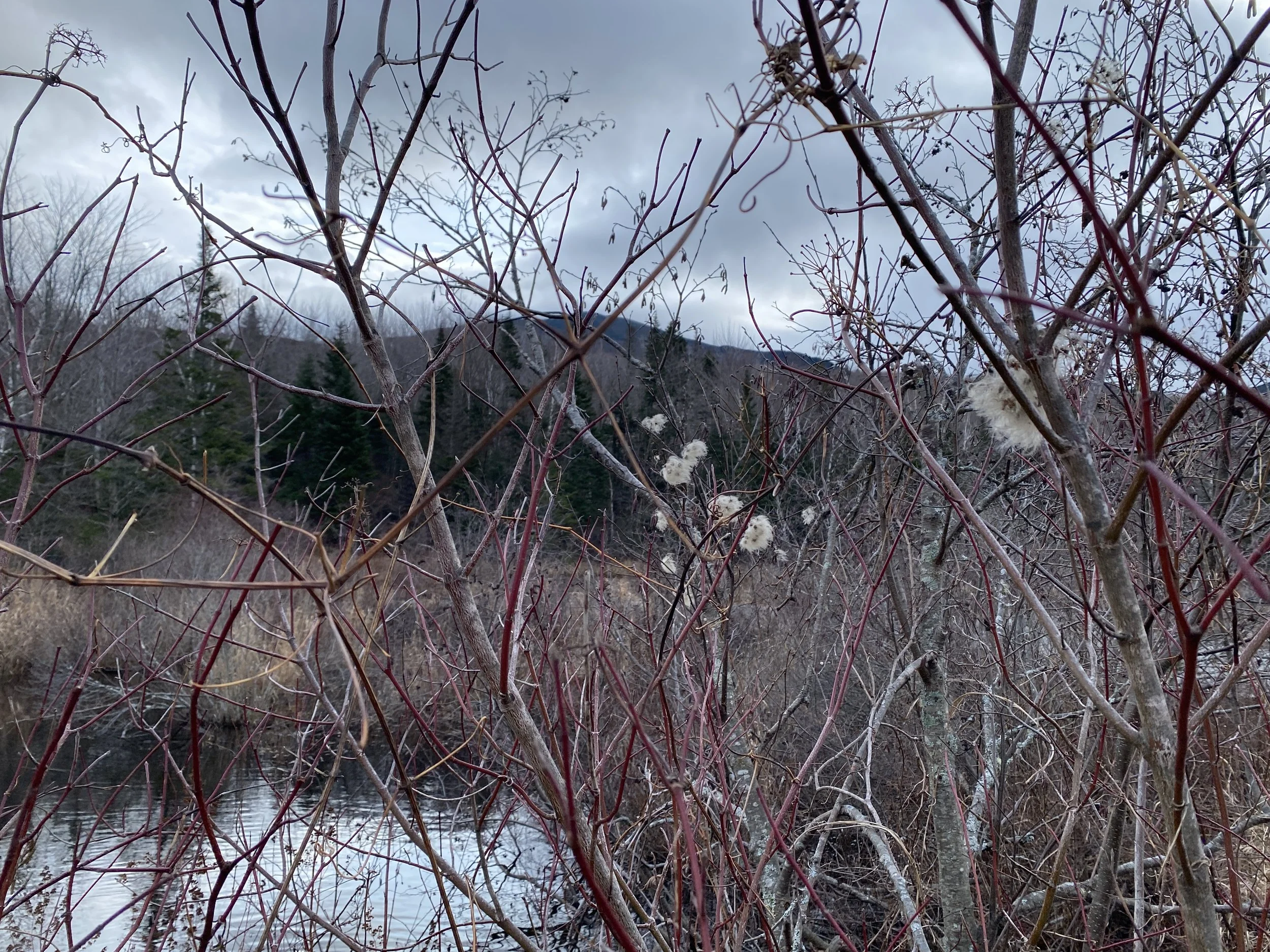 White Mountain Guide Day 76