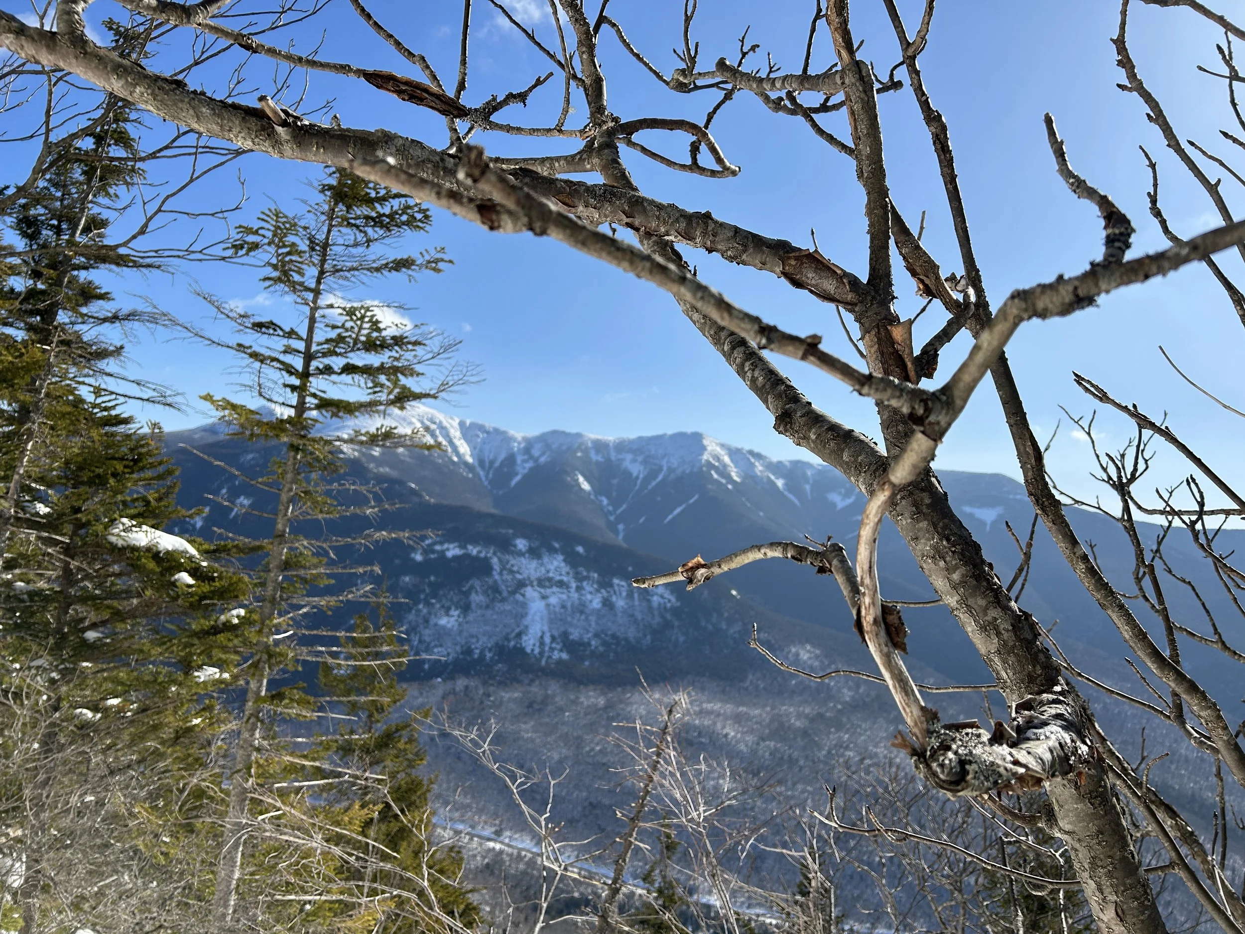 White Mountain Guide Day 111