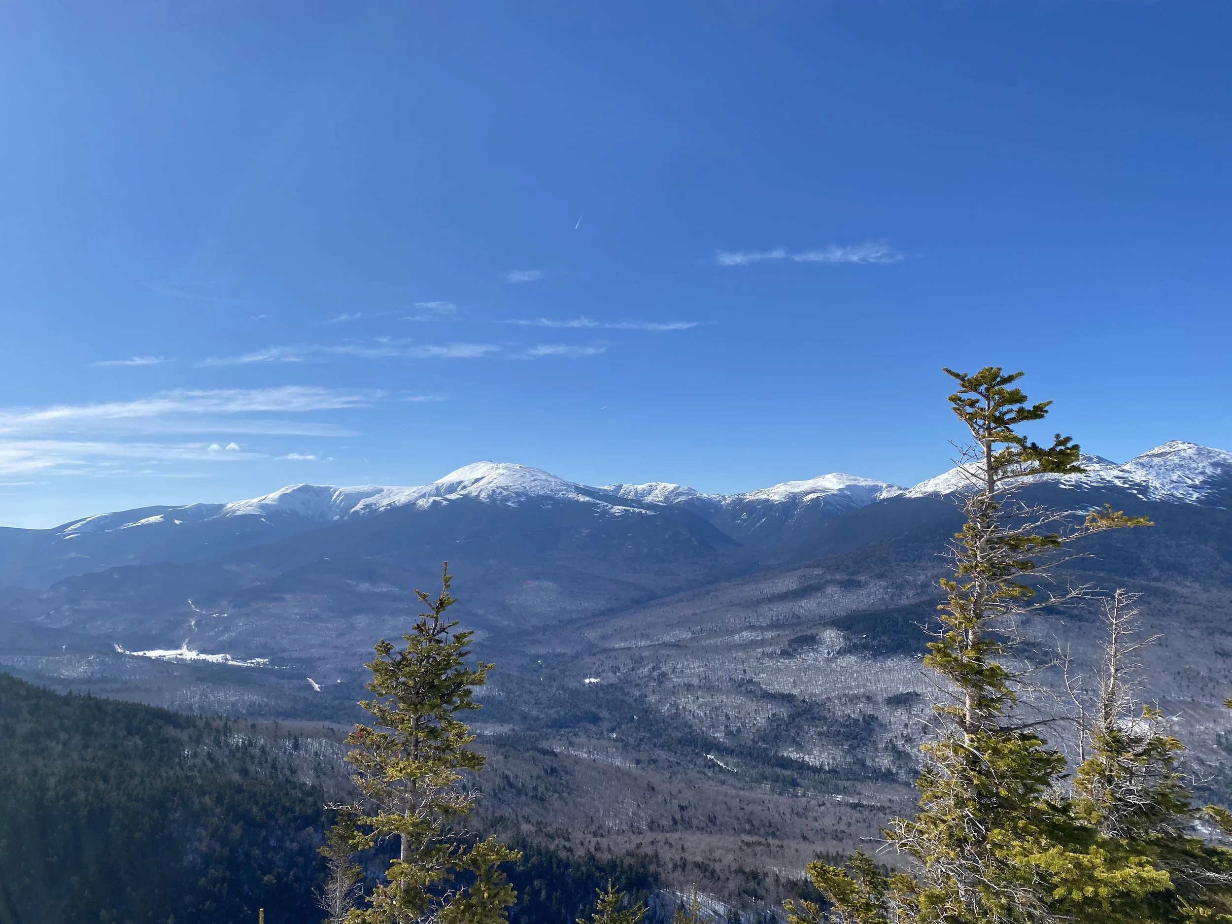 White Mountain Guide Day 101