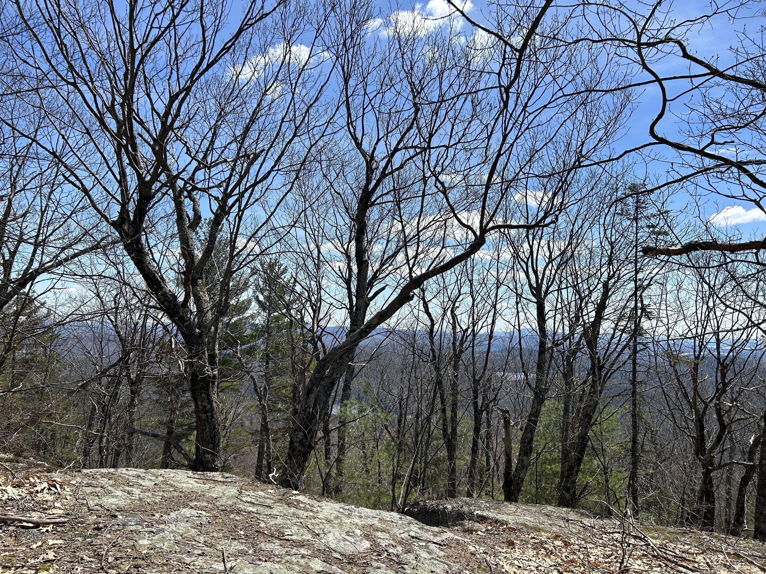 White Mountain Guide Day 122