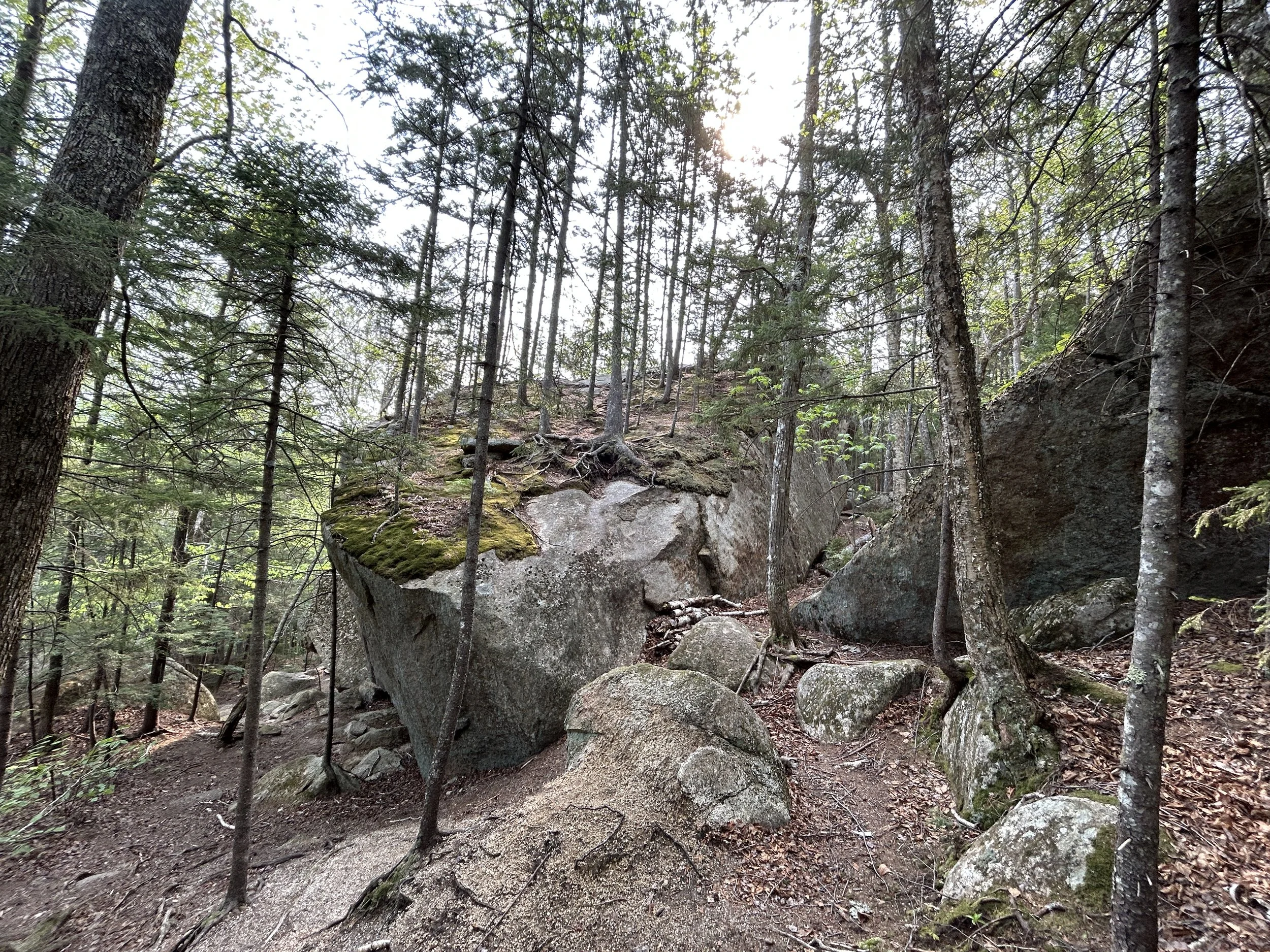 White Mountain Guide Day 130