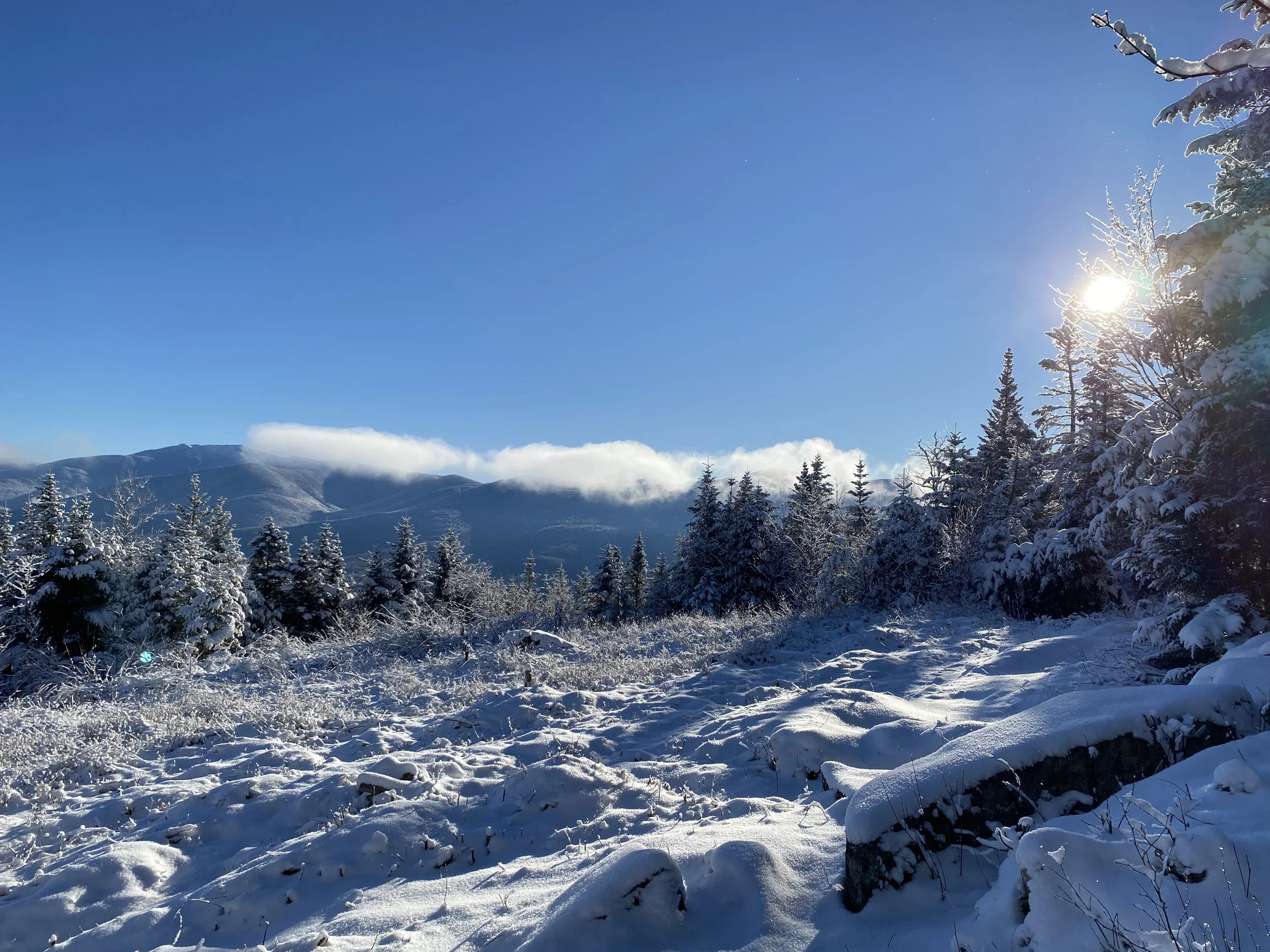 White Mountain Guide Day 89