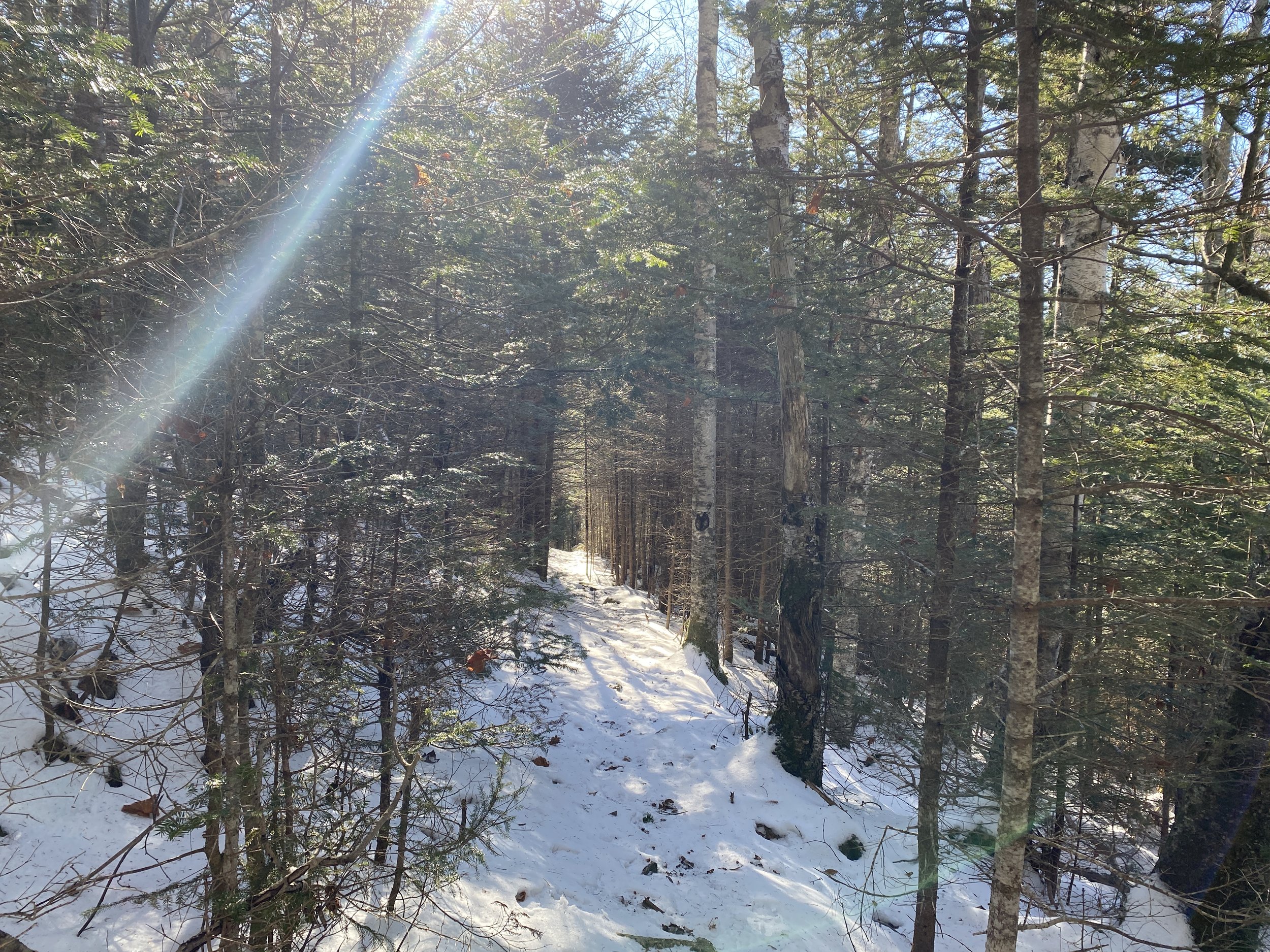 White Mountain Guide Day 73