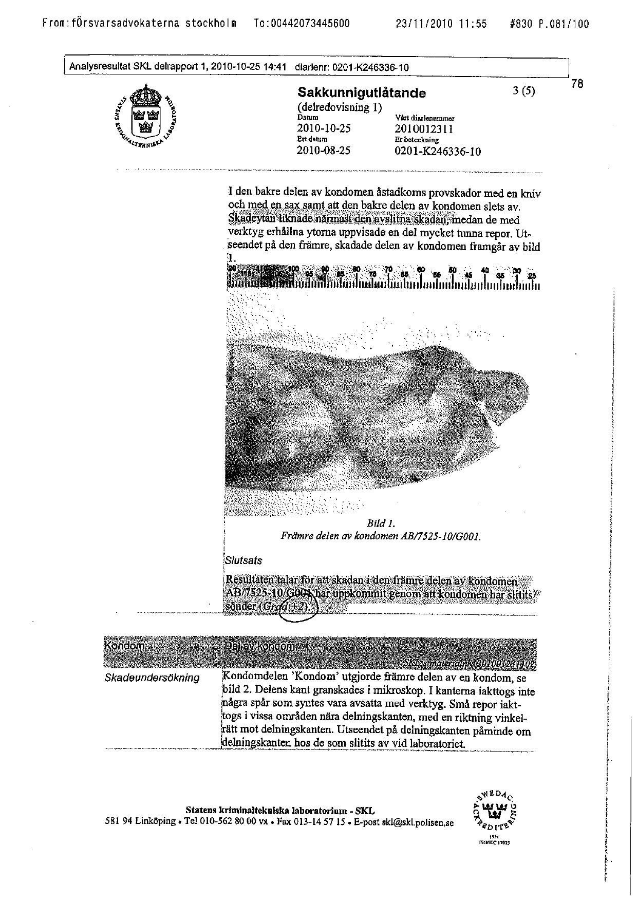 1_Police Interviews 2010-081.png