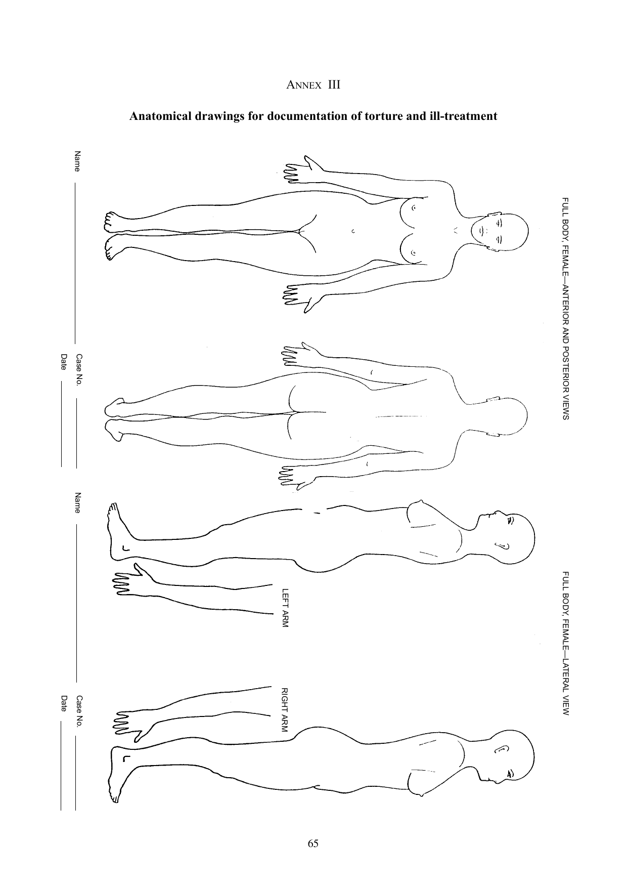 3_Istanbul Protocoll-72.png