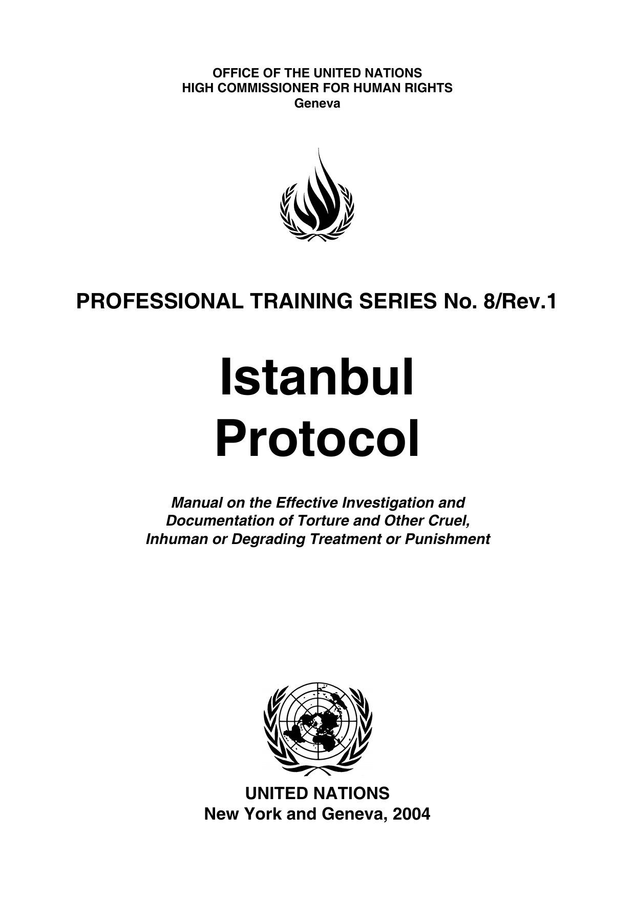 3_Istanbul Protocoll-01.png
