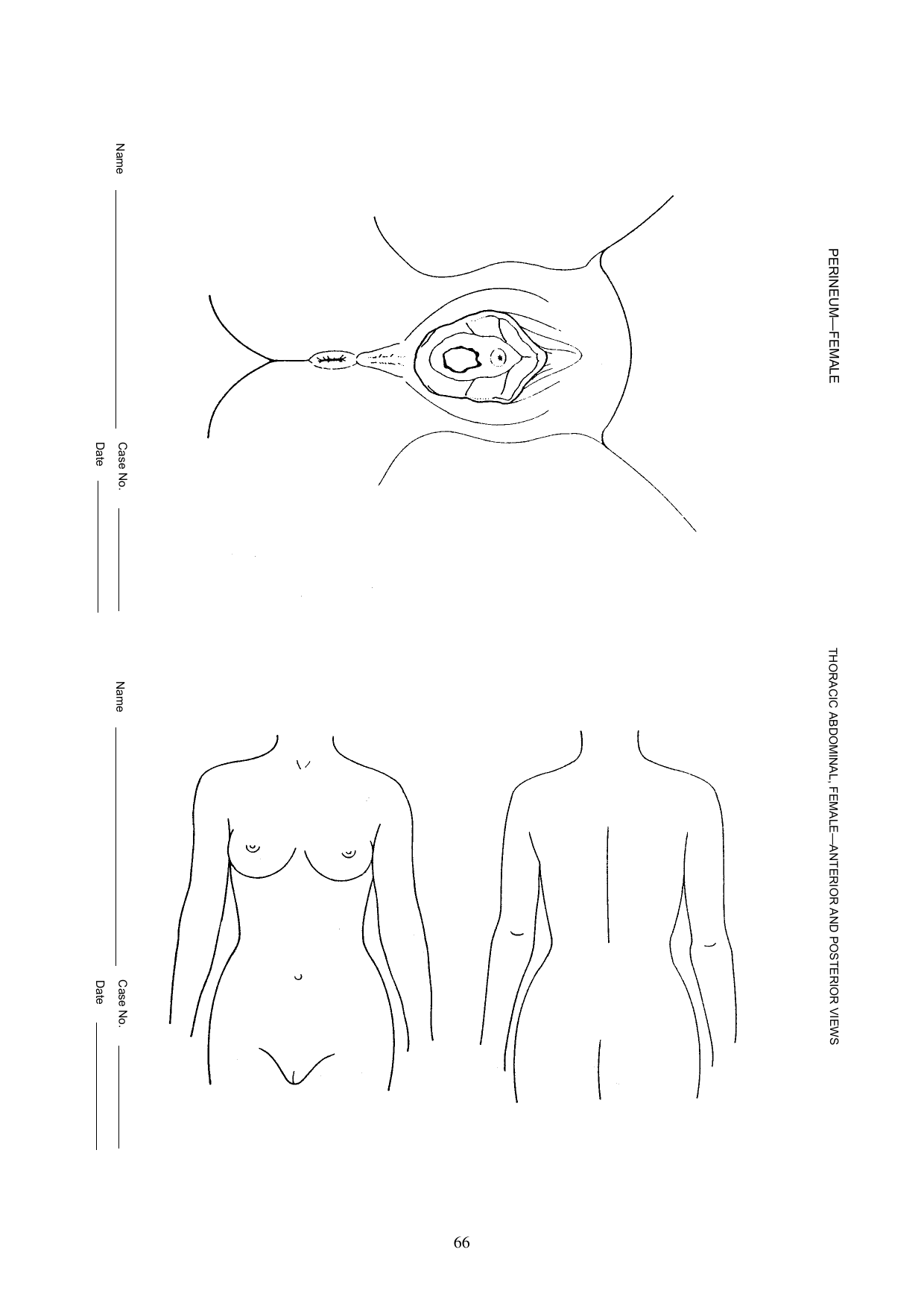 3_Istanbul Protocoll-73.png