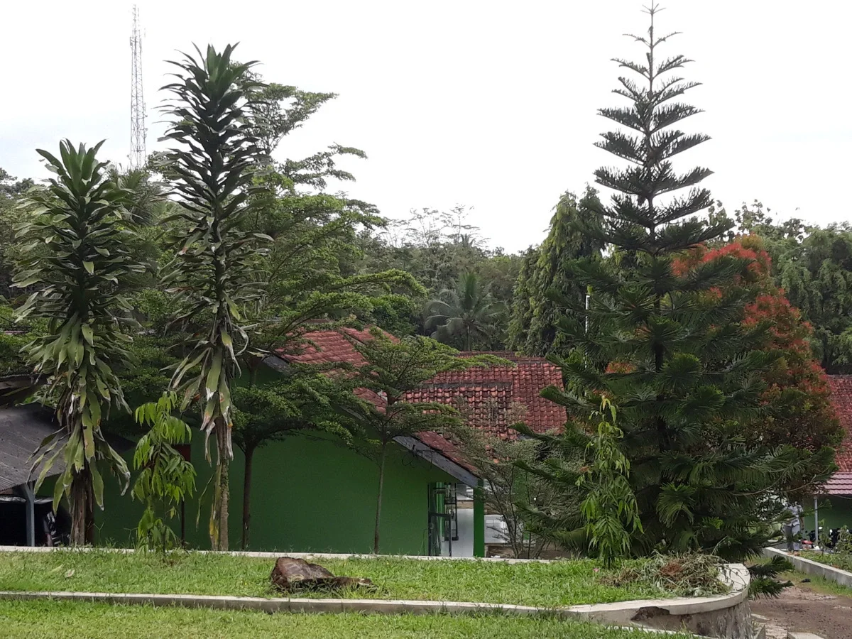 An ordinary green building with a tiled roof surrounded by tropical trees, representing the gap between an idealized ancestral village and the more modest reality a diaspora traveler finds on arrival.