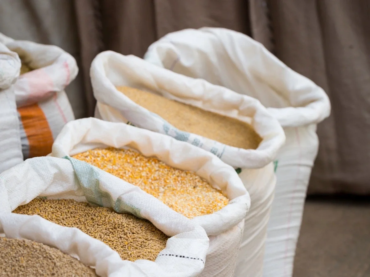 Open sacks of seeds symbolizing the seed vault in Charlotte McConaghy's Wild Dark Shore