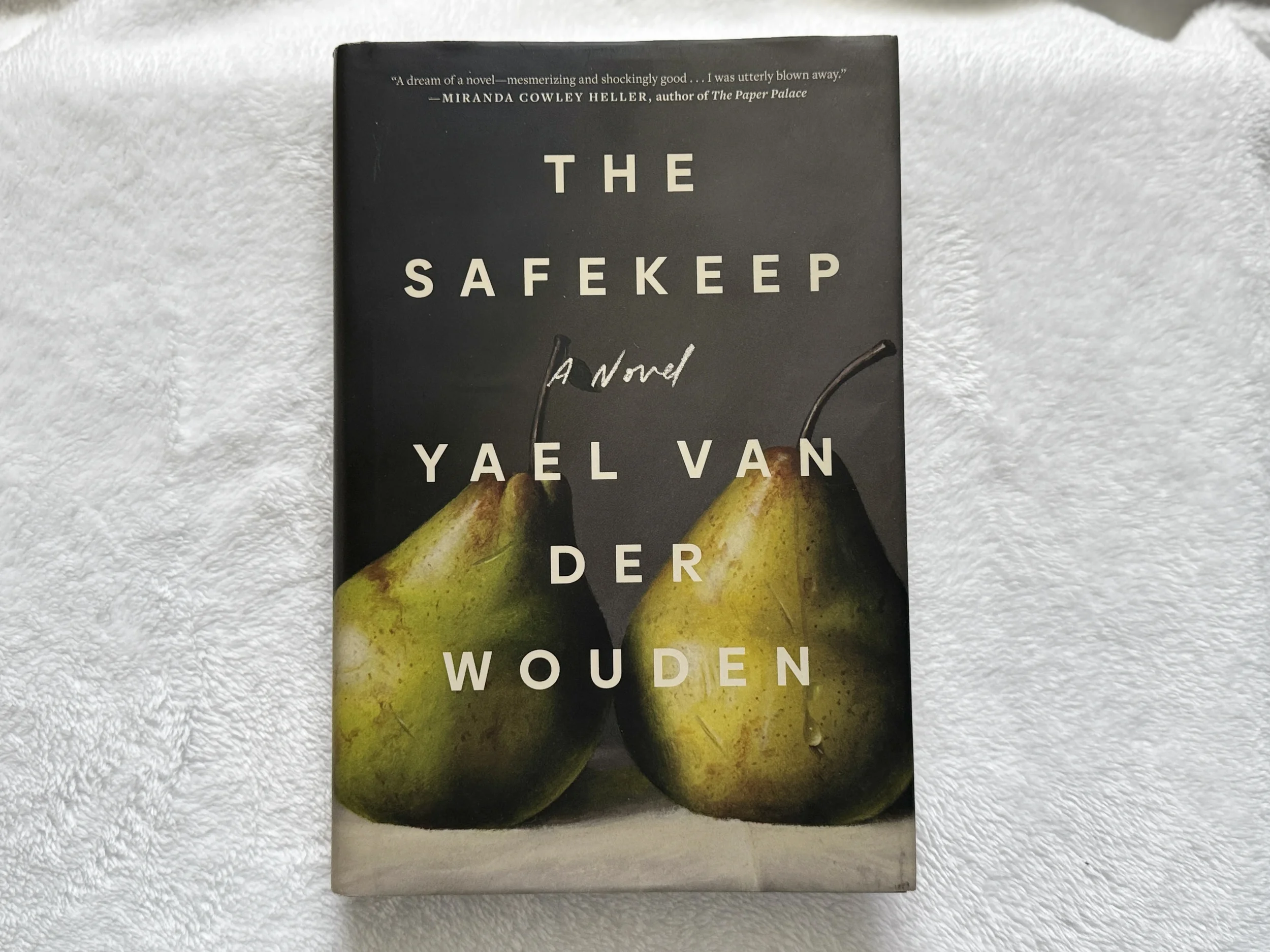 The Safekeep book teach us about suppressed emotions and family silence history