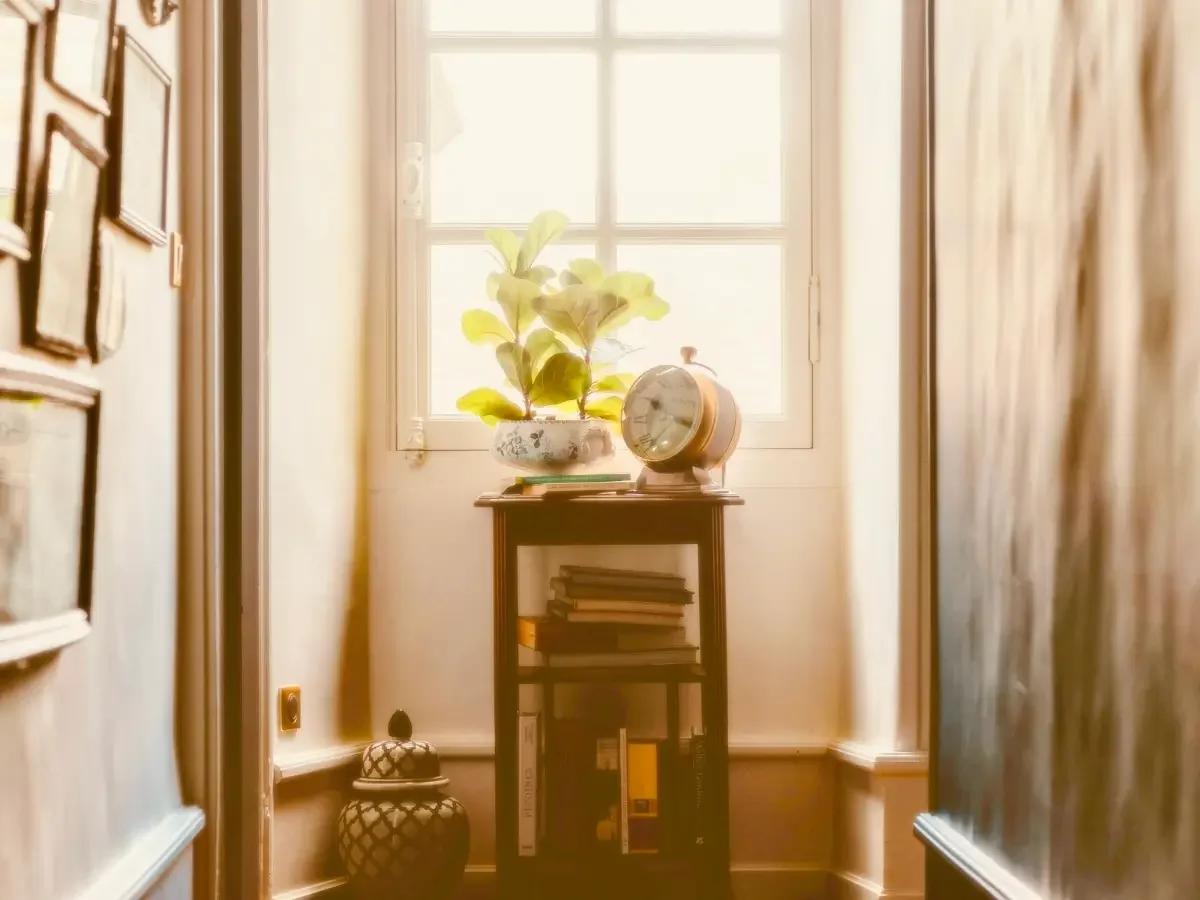A family home hallway with ordinary things, a plant, a clock, picture frames on the wall. Opening image for She The King's editorial piece on Why Childhood Vacations Feel Larger Than They Were.