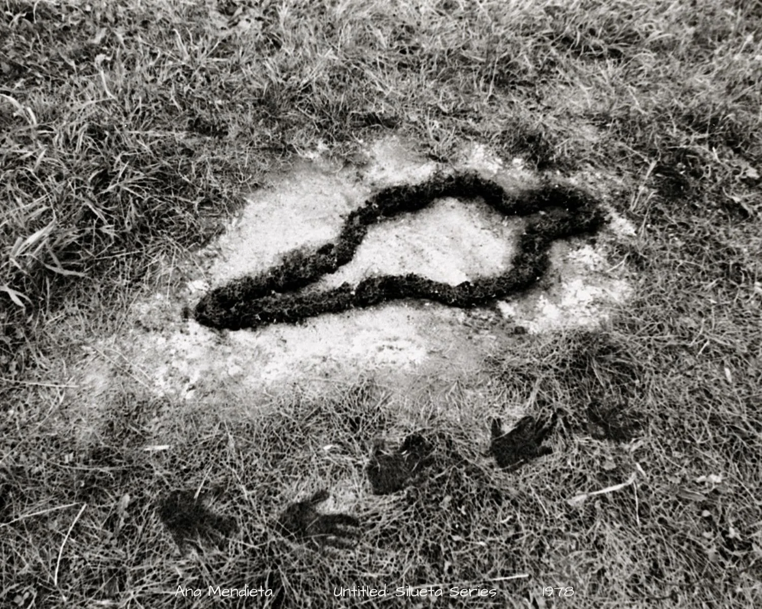 Ana Mendieta’s Silueta Series explores the connection between the human body, nature, identity, and belonging through performance and earth-based art.