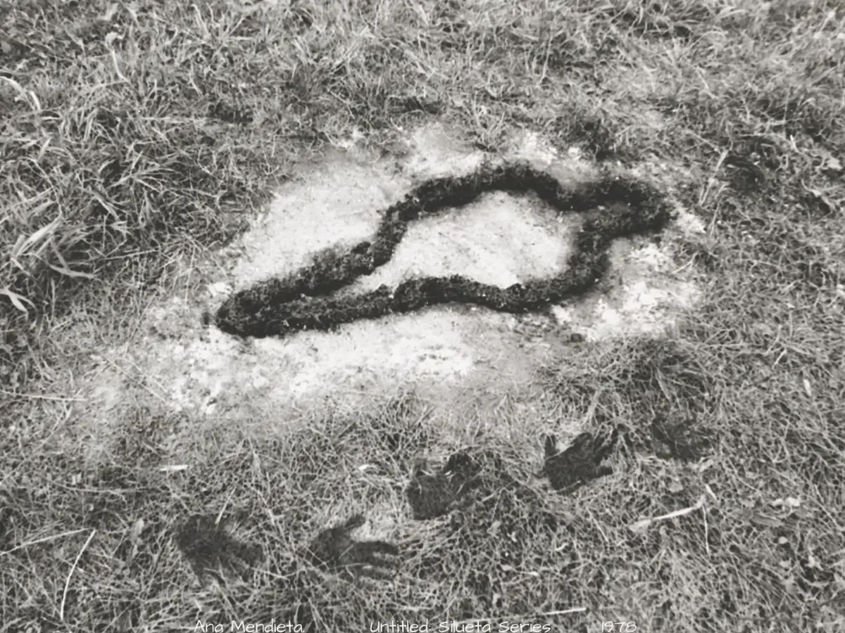 Ana Mendieta "Untitled Silueta" Series 1978. Accompanying What Five Hispanic Artists Made Visible. Ana Mendieta transformed the landscape into a powerful reflection of identity, displacement, and memory.