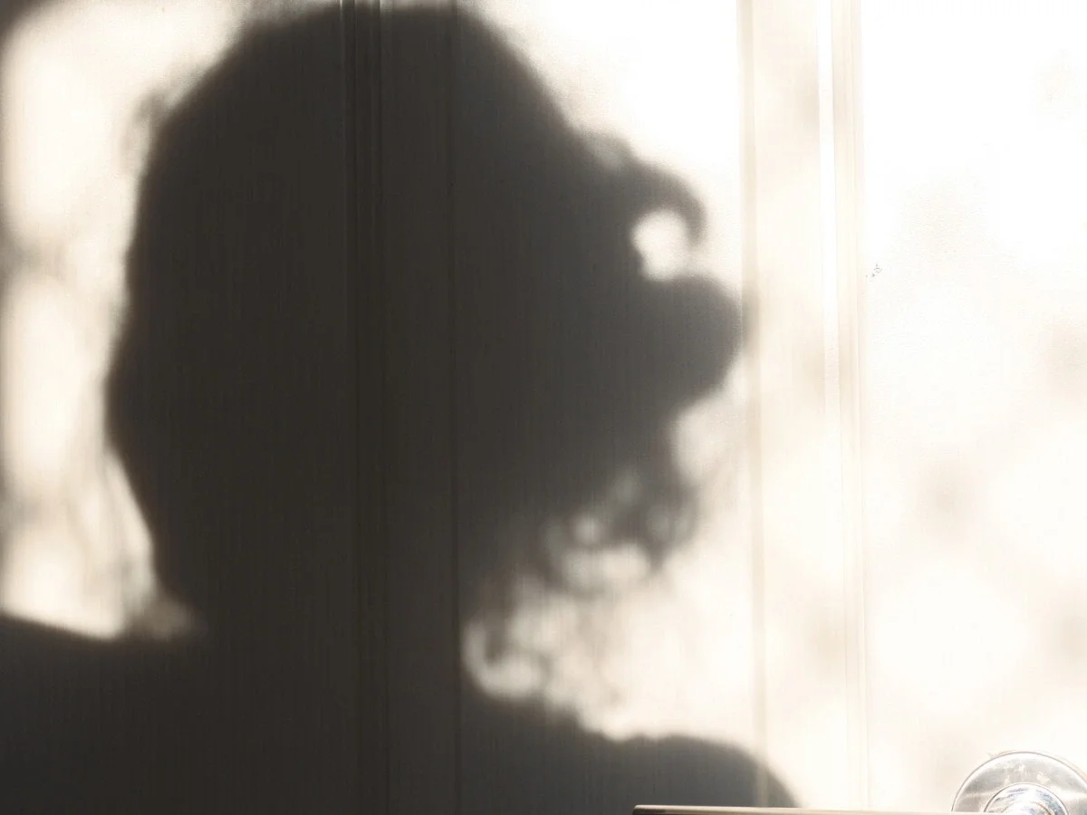 Soft shadow silhouette of a person suggesting introspection, memory, and the psychological dimensions of self-portraiture.