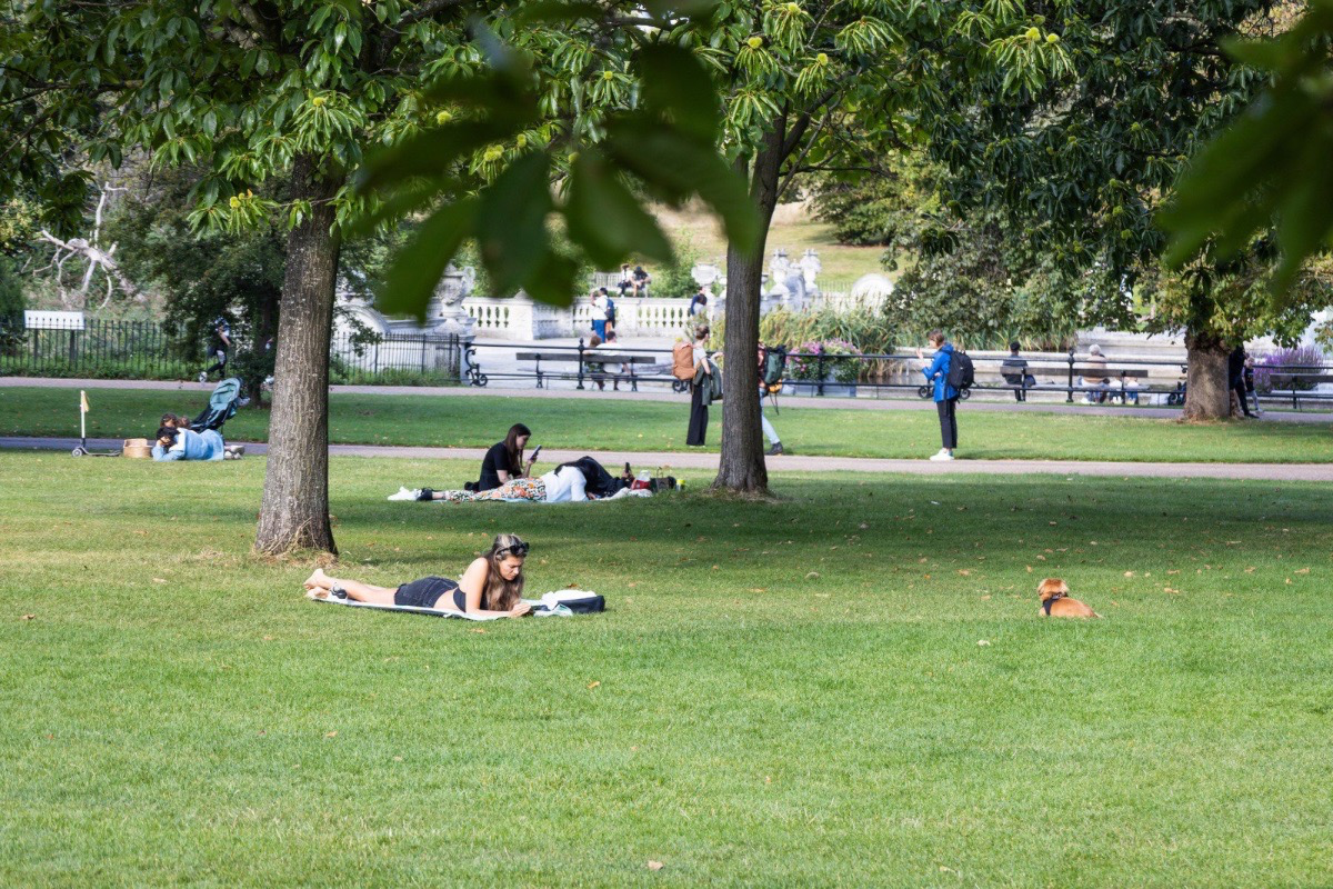 Embrace Intentional Living This Spring: Clear the Overwhelm and Focus on What Matters