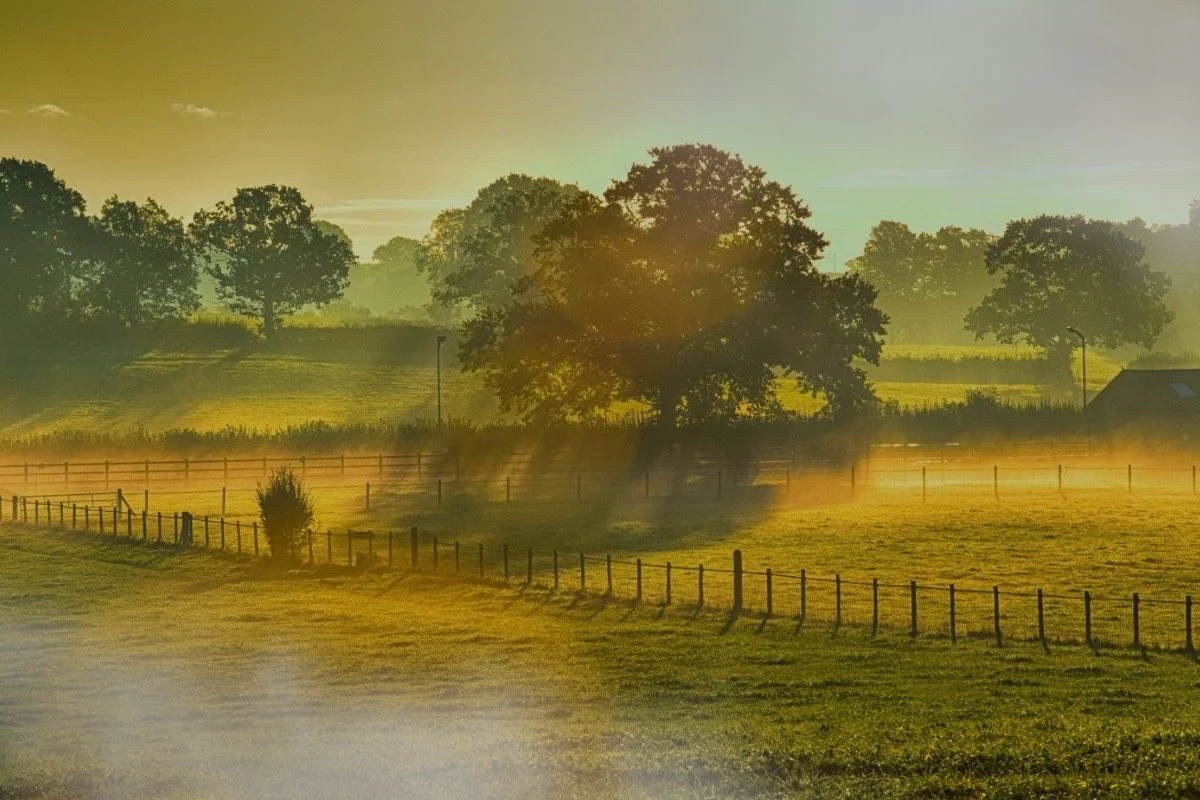 Peaceful rural landscape evoking the setting and themes of Broken Country by Clare Leslie Hall, a novel about family, evolving dreams, and quiet love.