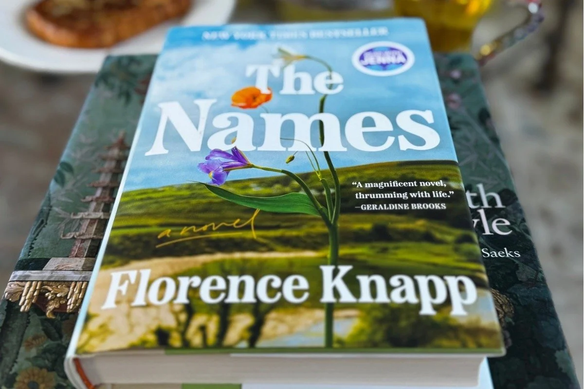 The Names is a debut literary fiction novel that examines family dynamics and emotional survival.