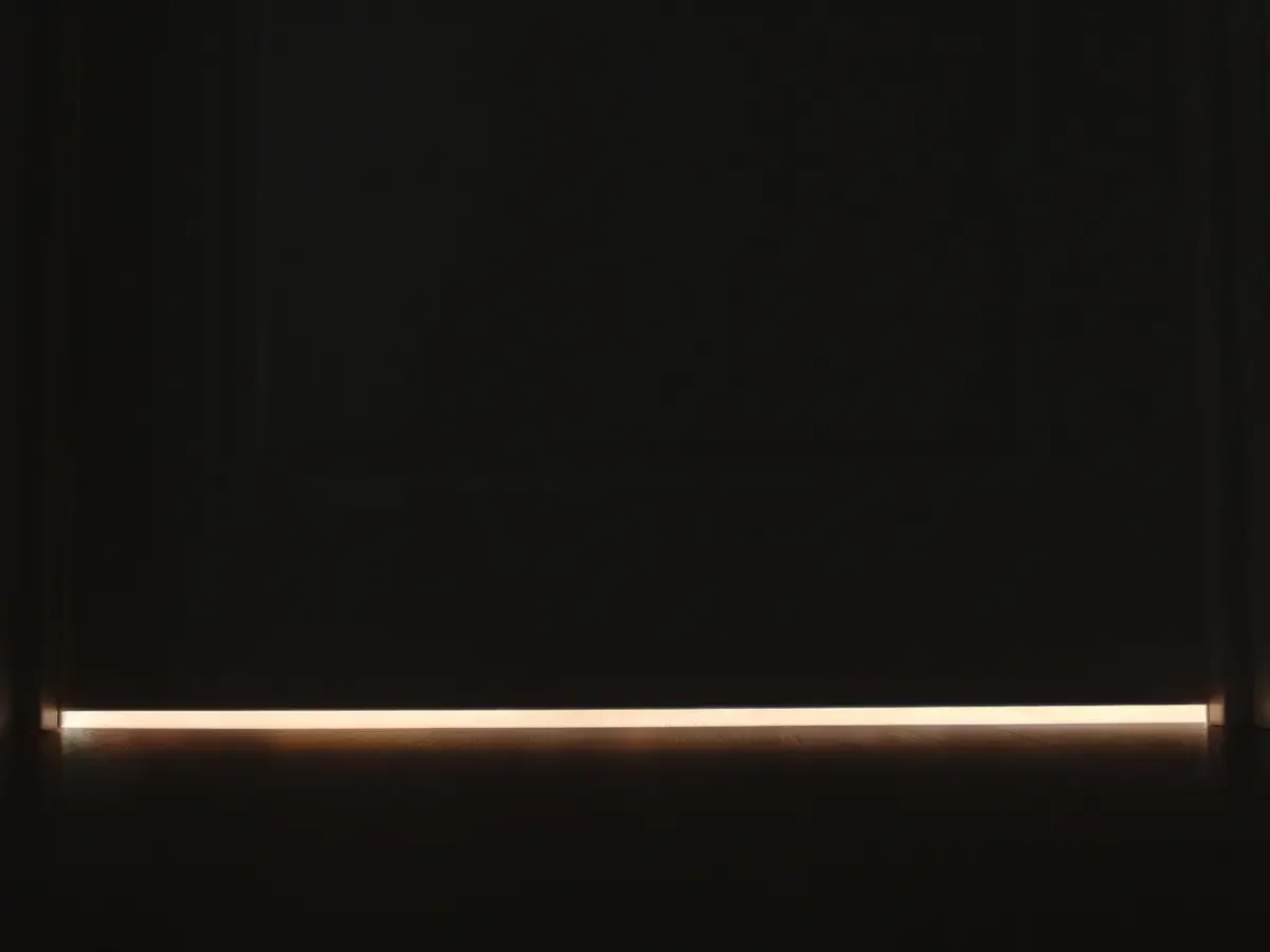 A dark closed door with a thin line of warm light along the floor, evoking what a family leaves unsaid.