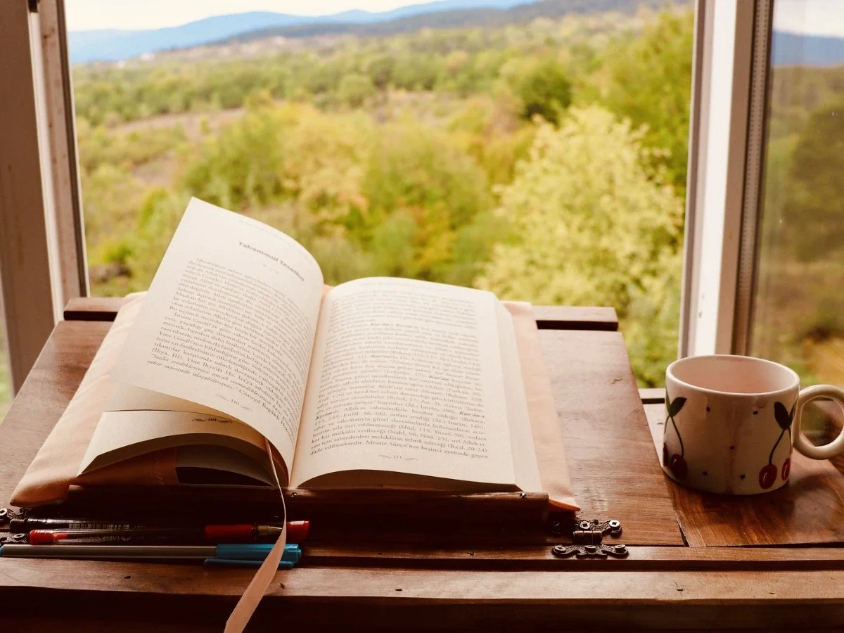 An open book rests on a warm wooden windowsill beside a ceramic mug. Through the window, a wide green landscape stretches into the distance under an overcast sky — the reading and the world beyond held in the same frame.