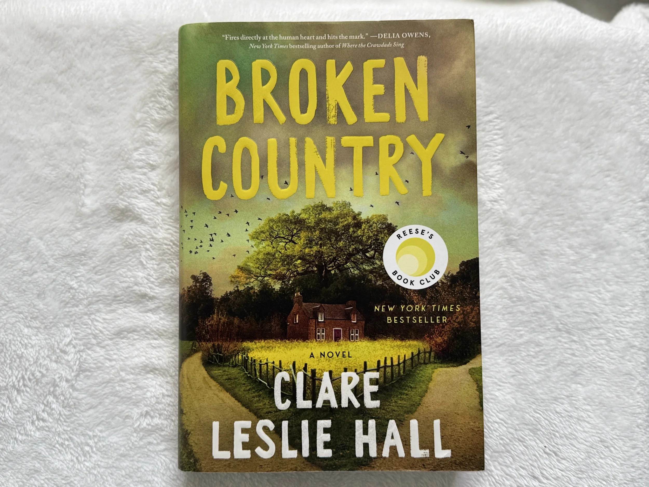Broken Country cover novel - a book about trauma, distance and emotional survival